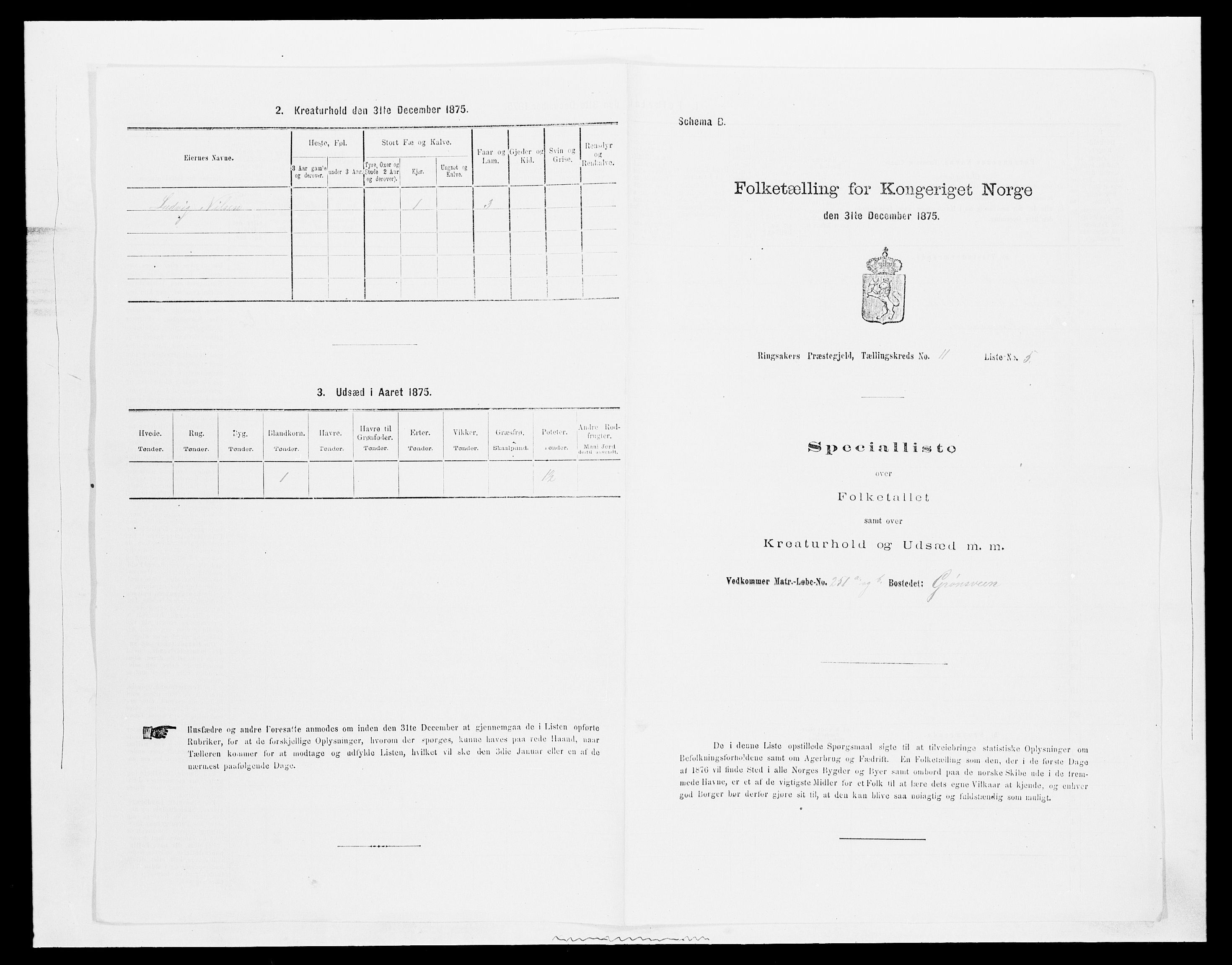 SAH, 1875 census for 0412P Ringsaker, 1875, p. 2171