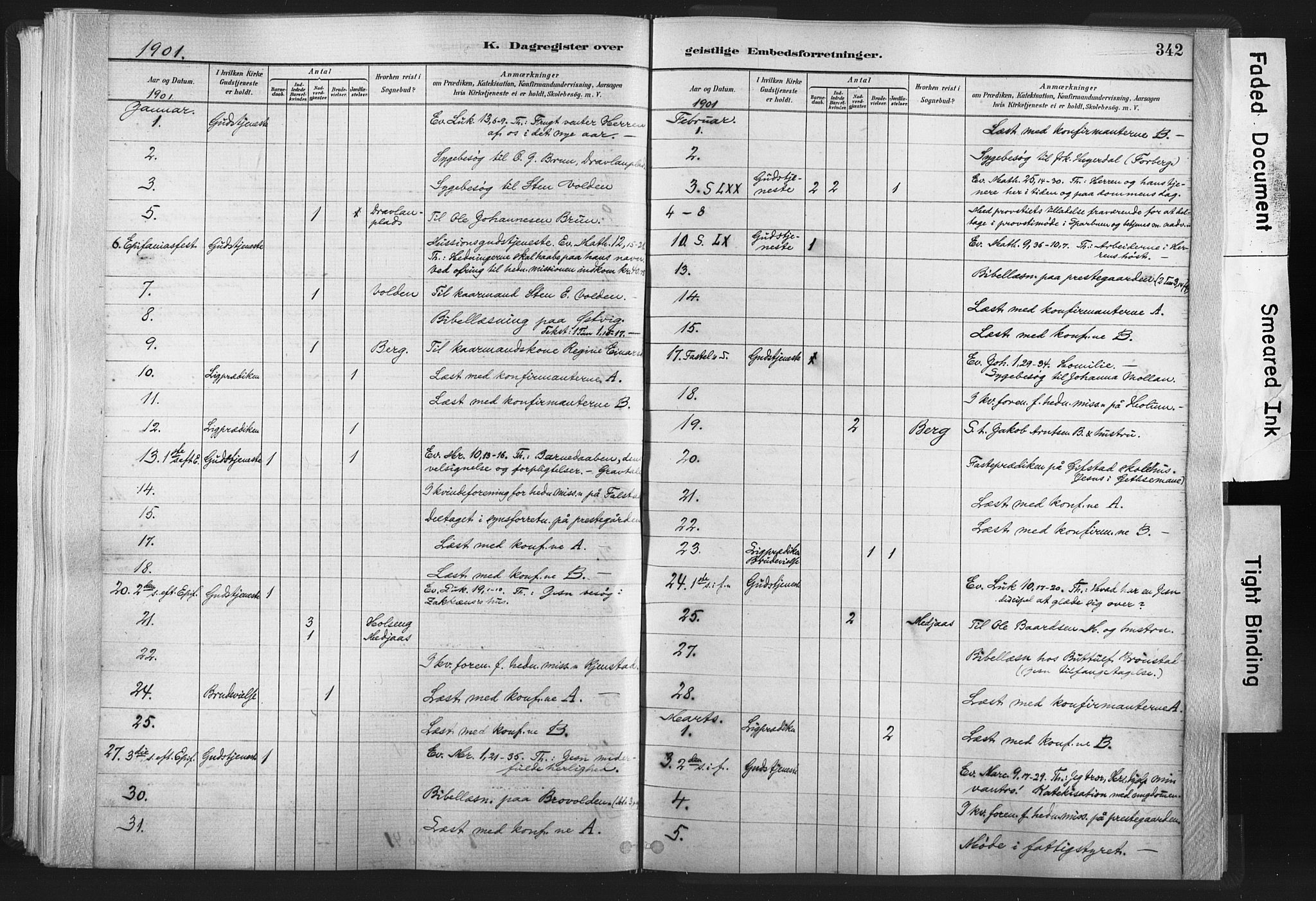 Ministerialprotokoller, klokkerbøker og fødselsregistre - Nord-Trøndelag, AV/SAT-A-1458/749/L0474: Parish register (official) no. 749A08, 1887-1903, p. 342