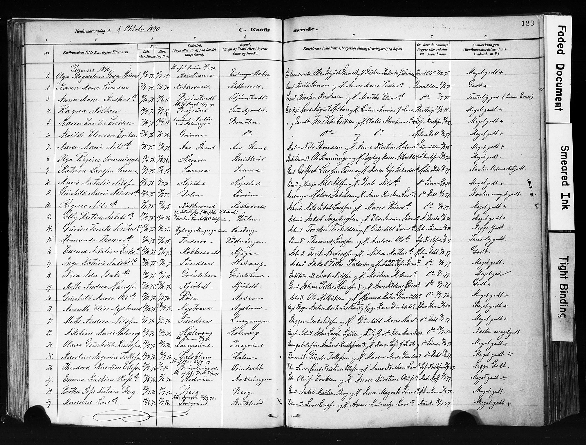 Eidanger kirkebøker, SAKO/A-261/F/Fa/L0012: Parish register (official) no. 12, 1879-1900, p. 123