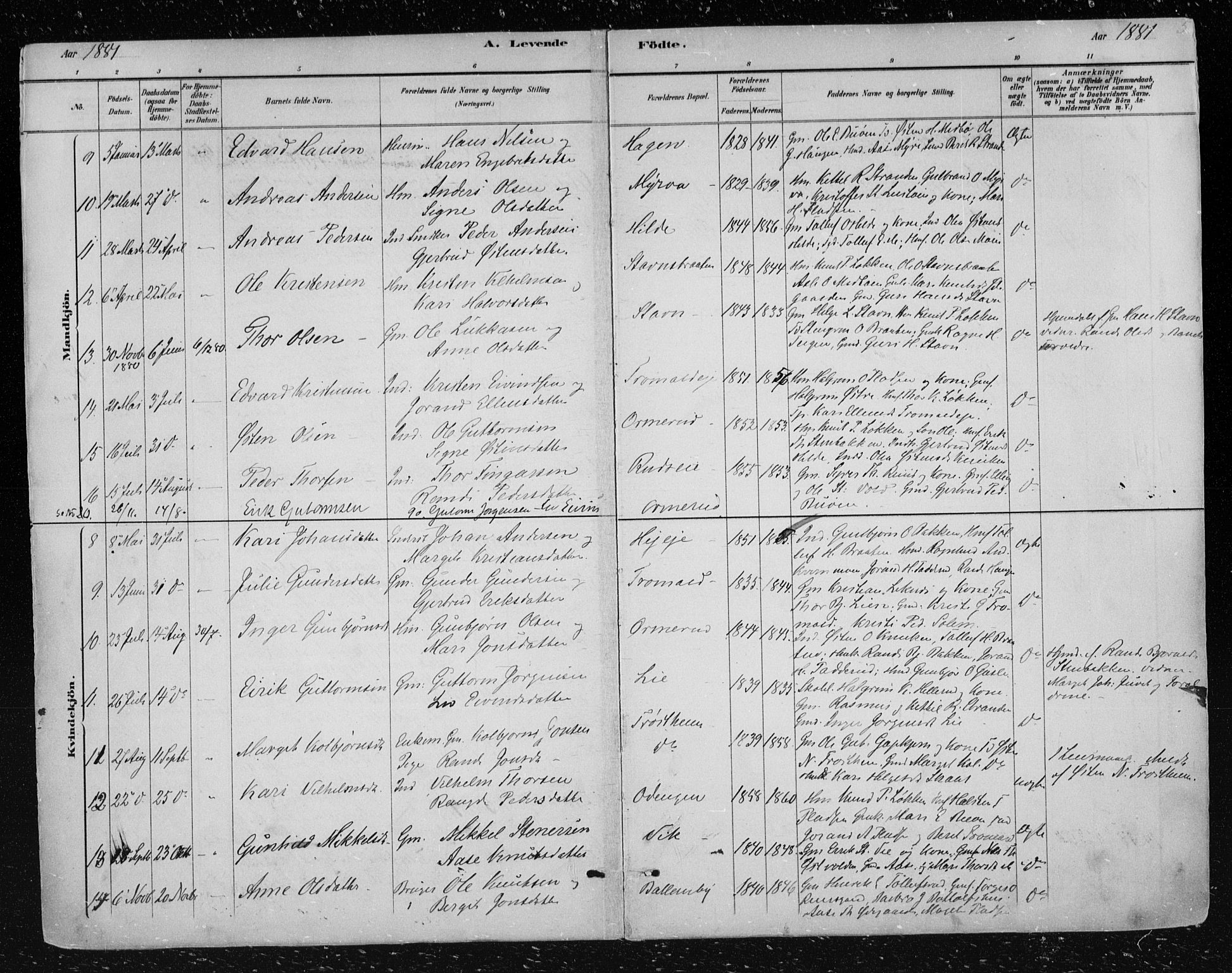 Nes kirkebøker, AV/SAKO-A-236/F/Fa/L0012: Parish register (official) no. 12, 1881-1917, p. 5