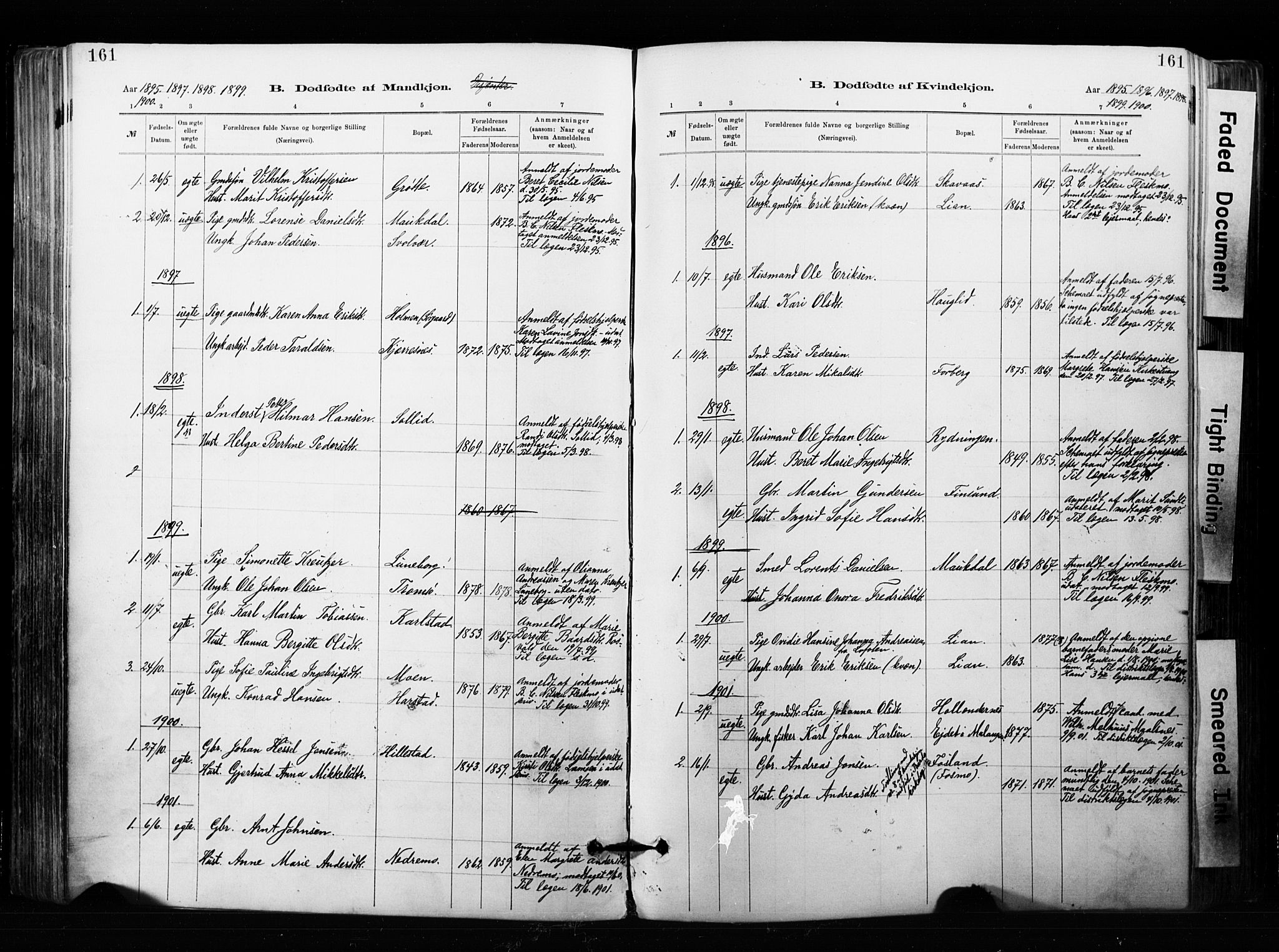 Målselv sokneprestembete, SATØ/S-1311/G/Ga/Gaa/L0007kirke: Parish register (official) no. 7, 1884-1903, p. 161