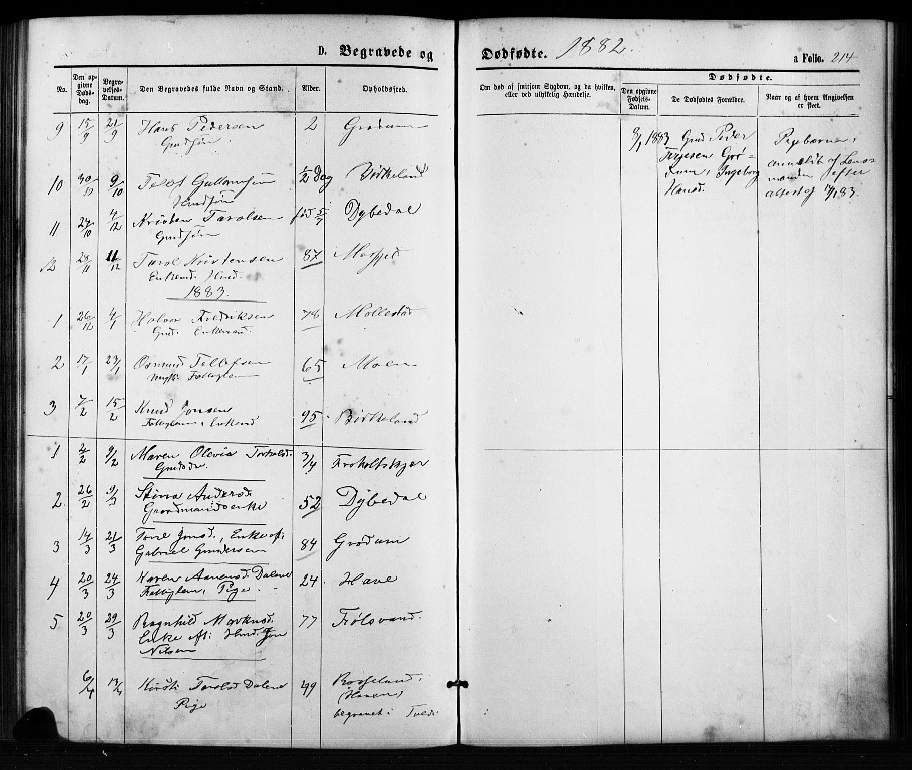 Birkenes sokneprestkontor, AV/SAK-1111-0004/F/Fb/L0003: Parish register (copy) no. B 3, 1876-1892, p. 214