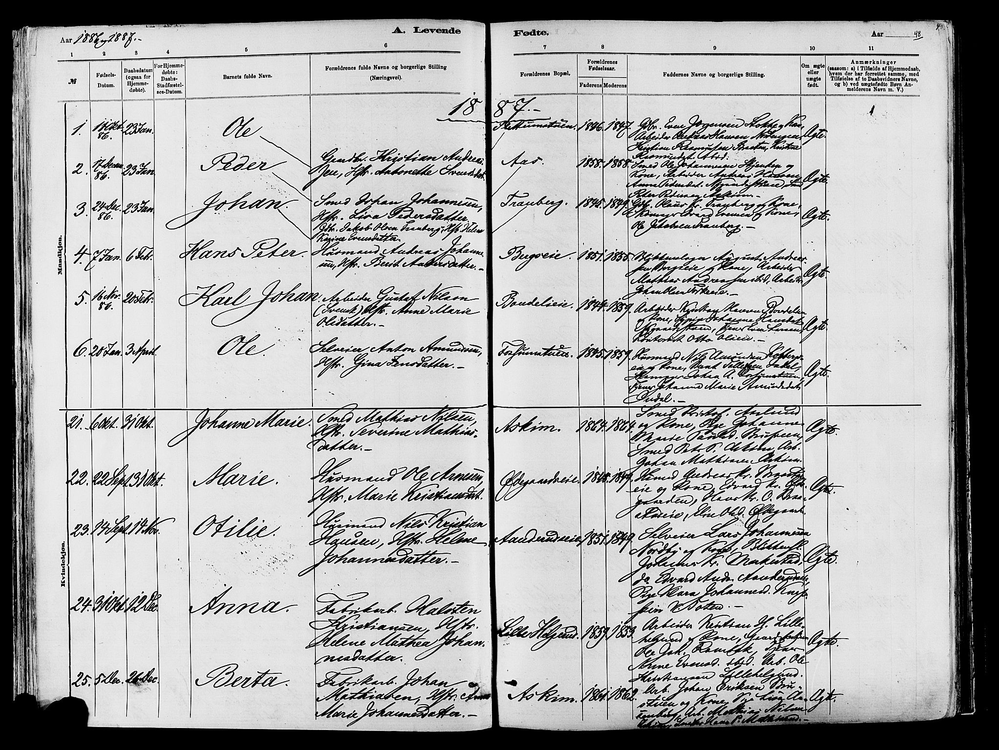Vardal prestekontor, SAH/PREST-100/H/Ha/Haa/L0009: Parish register (official) no. 9, 1878-1892, p. 48