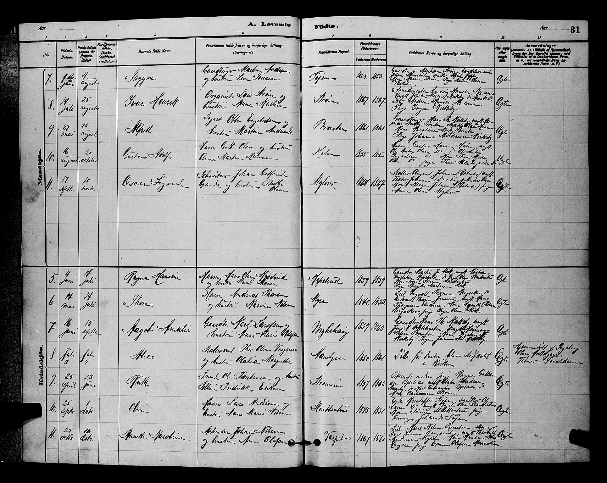Nittedal prestekontor Kirkebøker, SAO/A-10365a/G/Gb/L0002: Parish register (copy) no. II 2, 1879-1901, p. 31