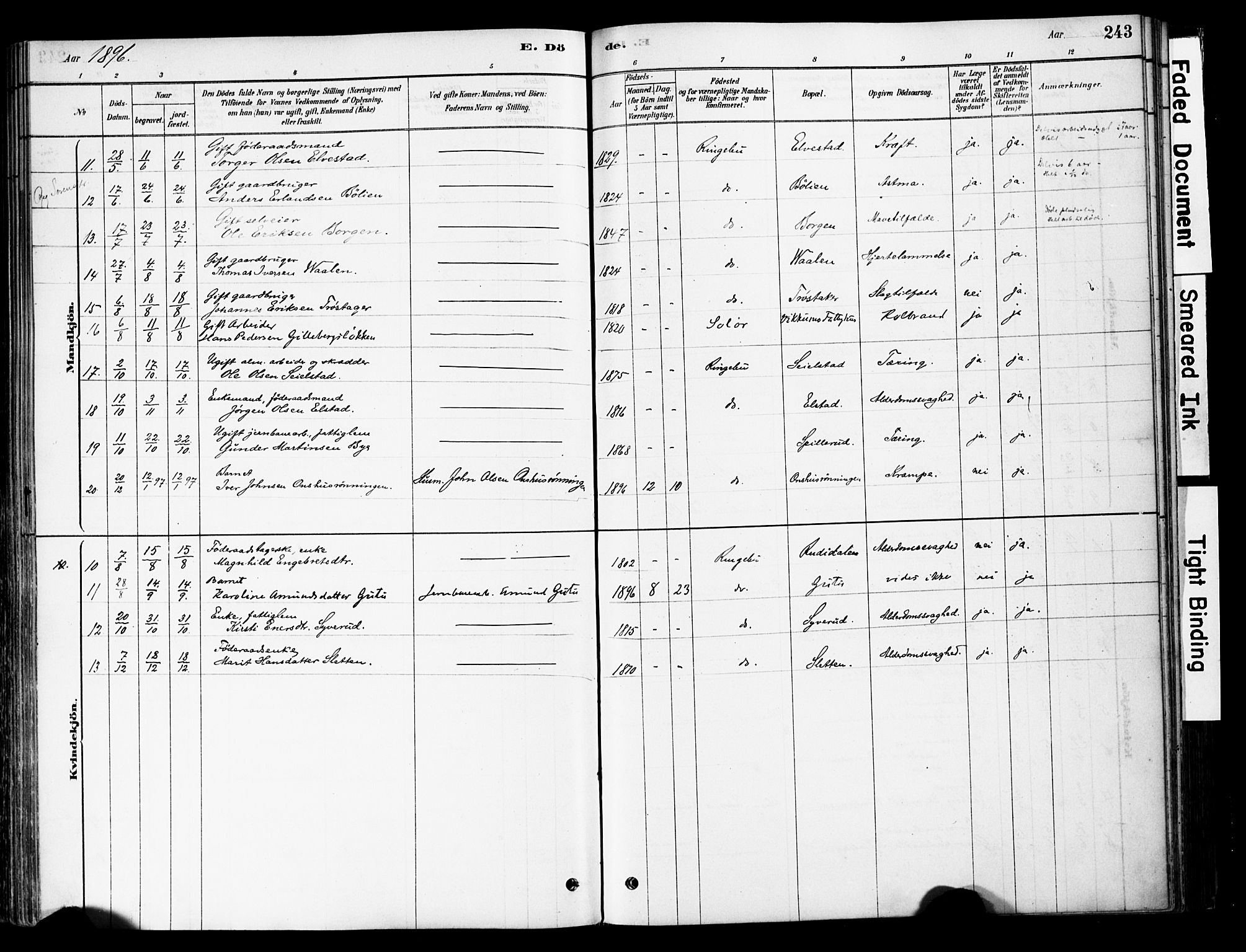 Ringebu prestekontor, AV/SAH-PREST-082/H/Ha/Haa/L0008: Parish register (official) no. 8, 1878-1898, p. 243