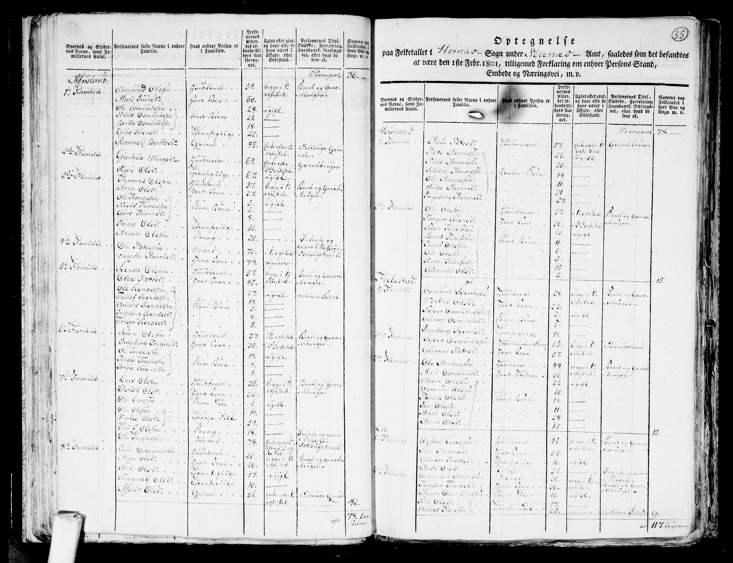 RA, 1801 census for 0934P Evje, 1801, p. 34b-35a