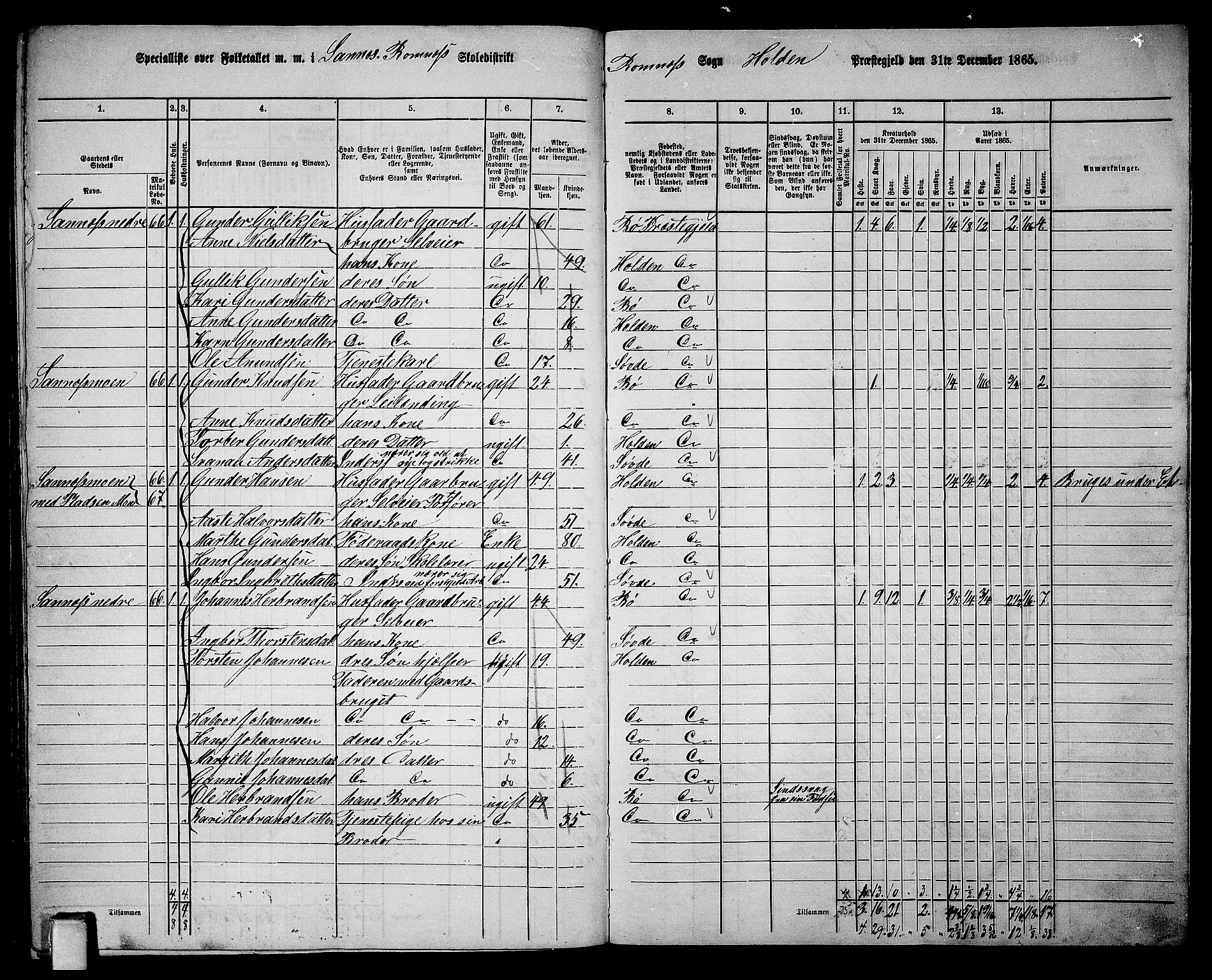 RA, 1865 census for Holla, 1865, p. 145