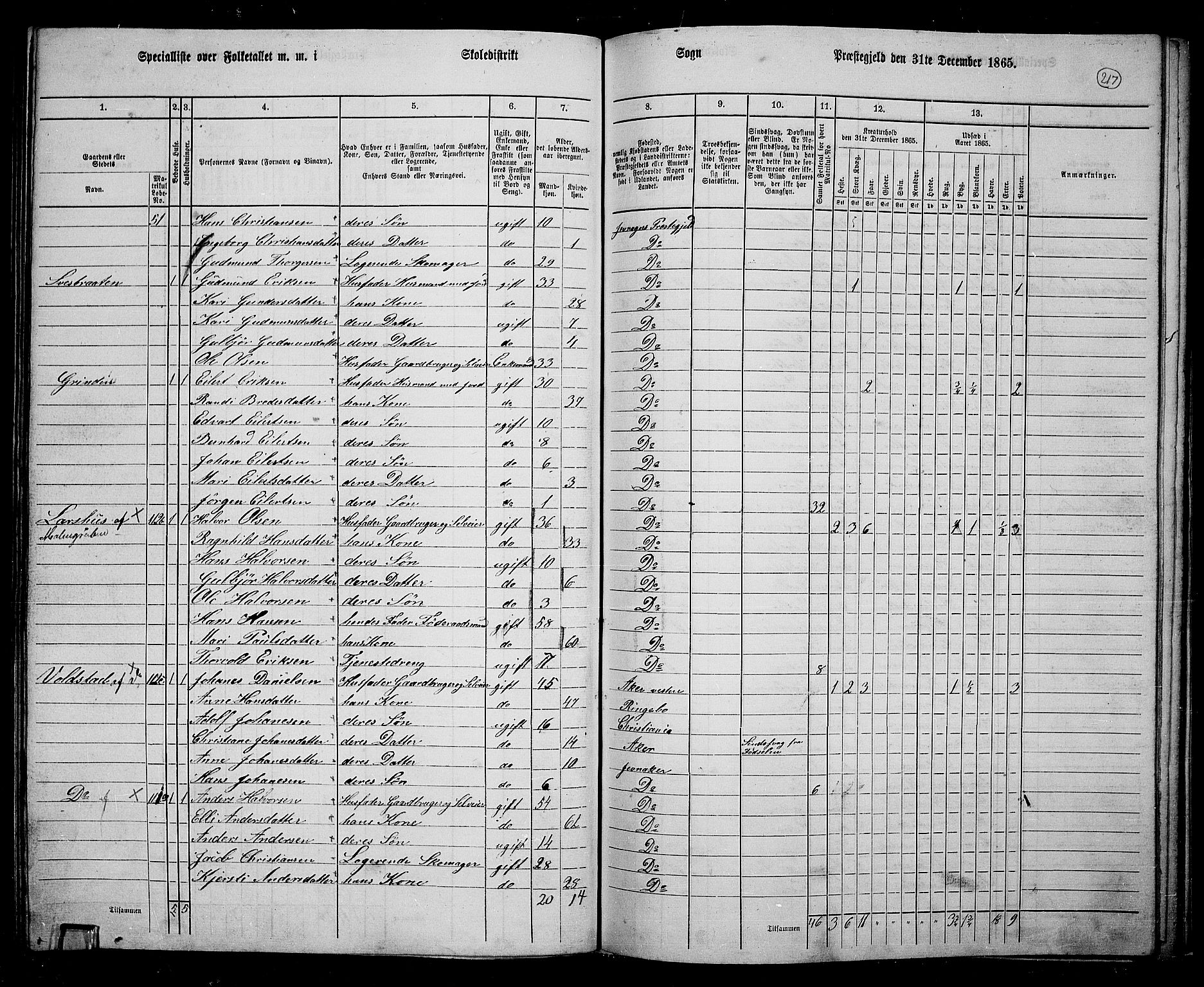 RA, 1865 census for Jevnaker, 1865, p. 201