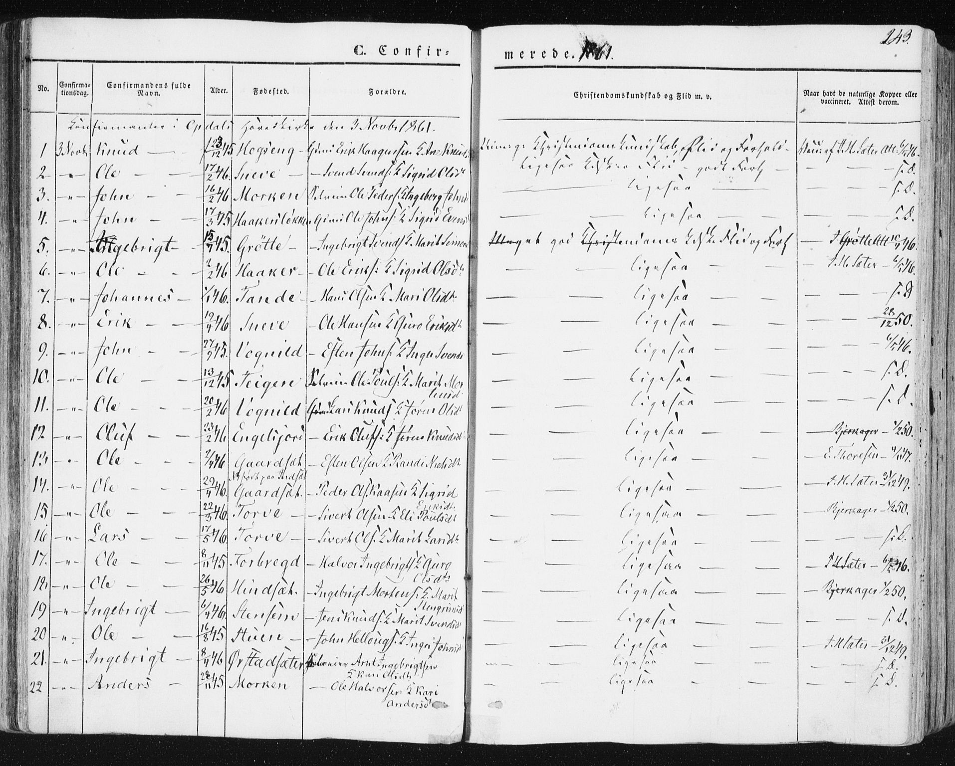 Ministerialprotokoller, klokkerbøker og fødselsregistre - Sør-Trøndelag, AV/SAT-A-1456/678/L0899: Parish register (official) no. 678A08, 1848-1872, p. 243