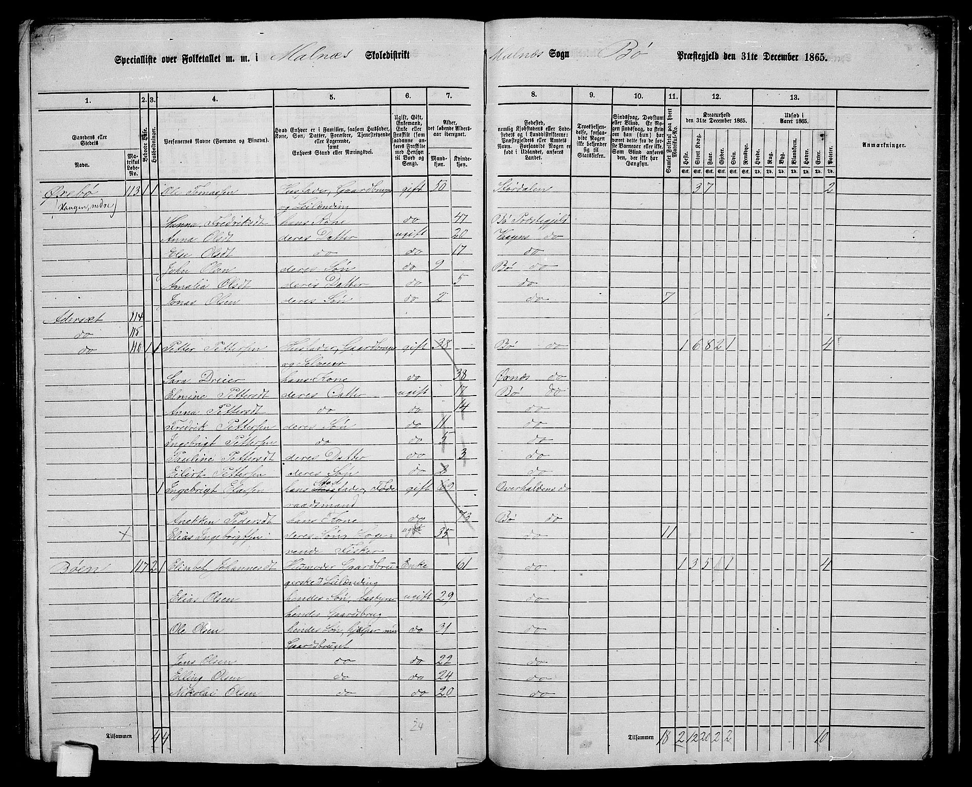 RA, 1865 census for Bø, 1865, p. 70