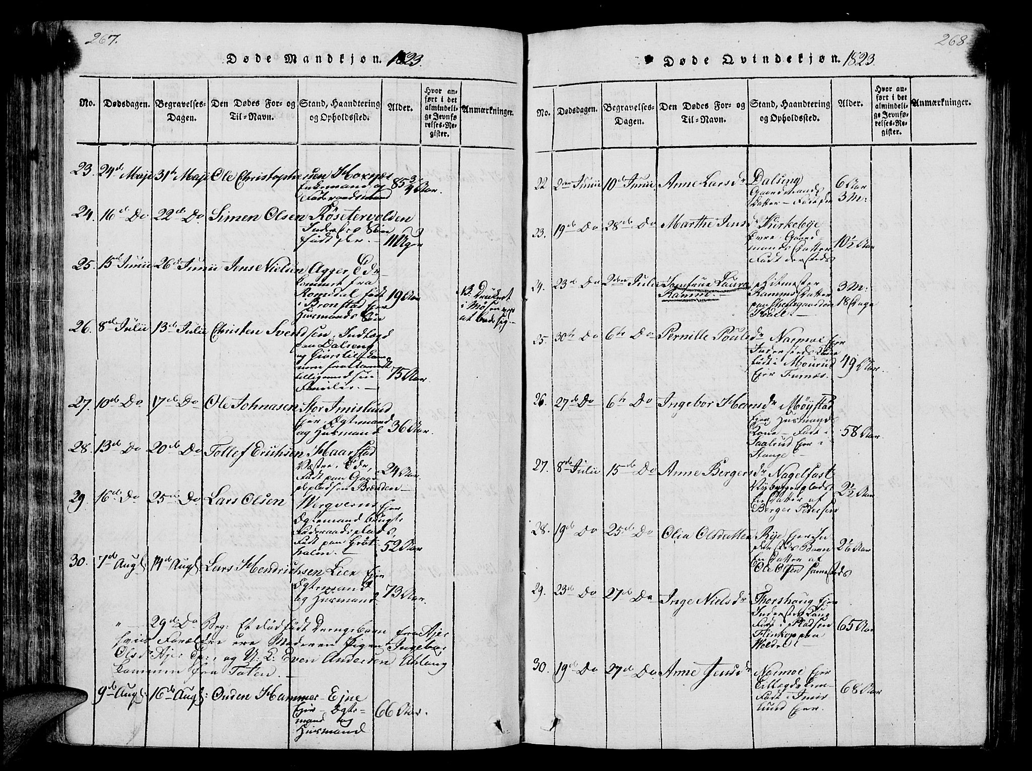 Vang prestekontor, Hedmark, SAH/PREST-008/H/Ha/Hab/L0004: Parish register (copy) no. 4, 1813-1827, p. 267-268