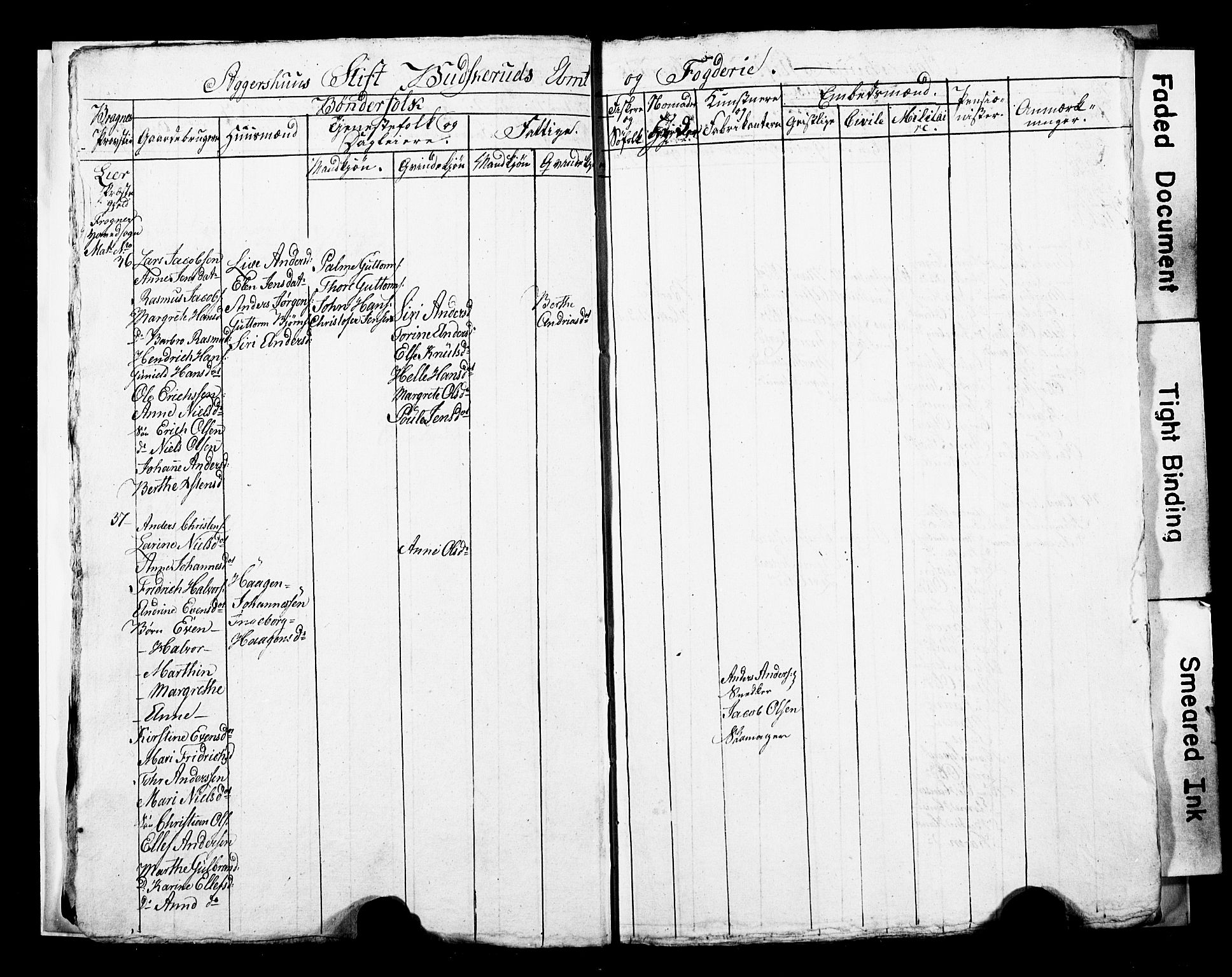 SAKO, 1815 Census for Lier parish, 1815, p. 11