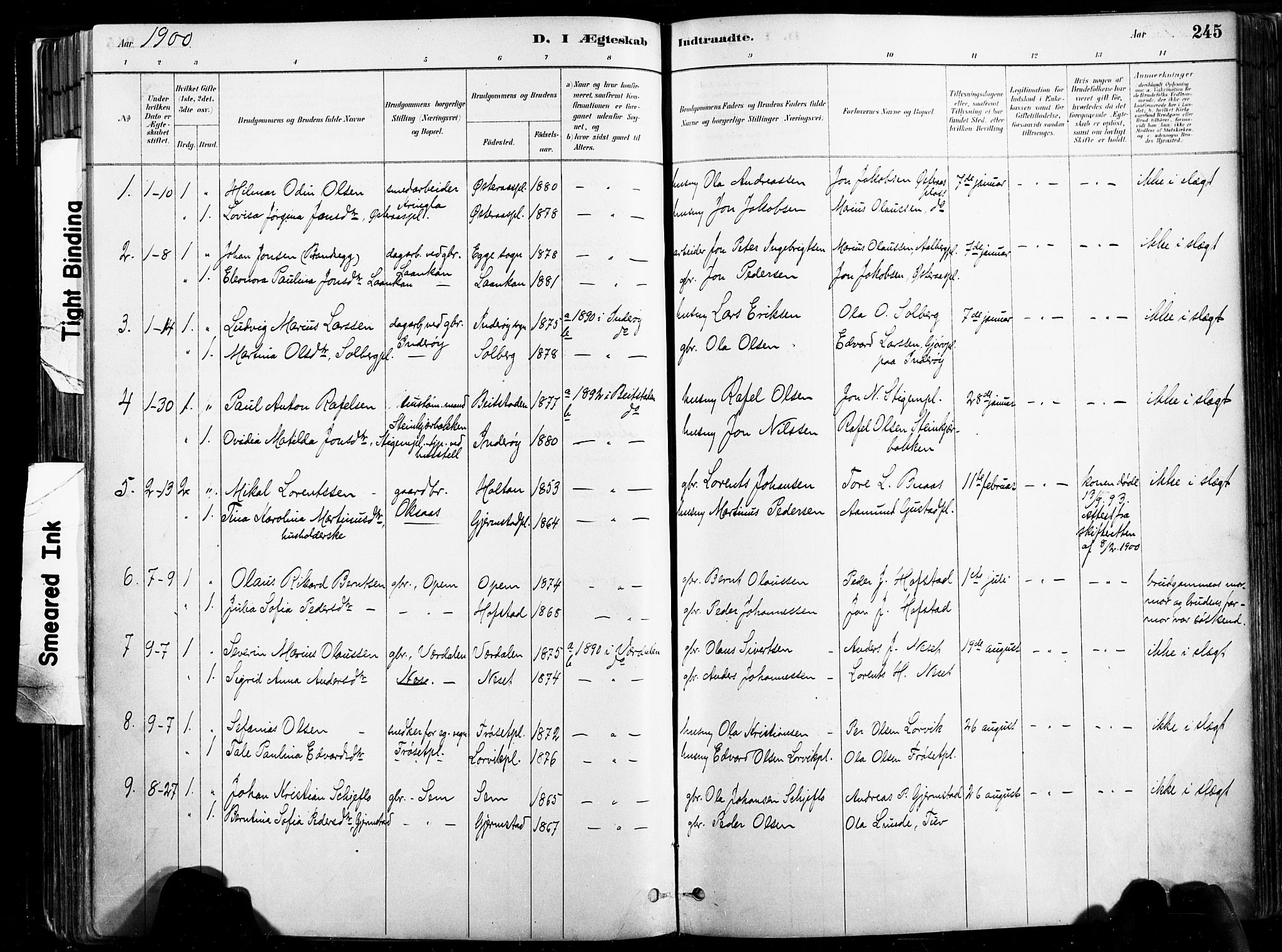 Ministerialprotokoller, klokkerbøker og fødselsregistre - Nord-Trøndelag, AV/SAT-A-1458/735/L0351: Parish register (official) no. 735A10, 1884-1908, p. 245