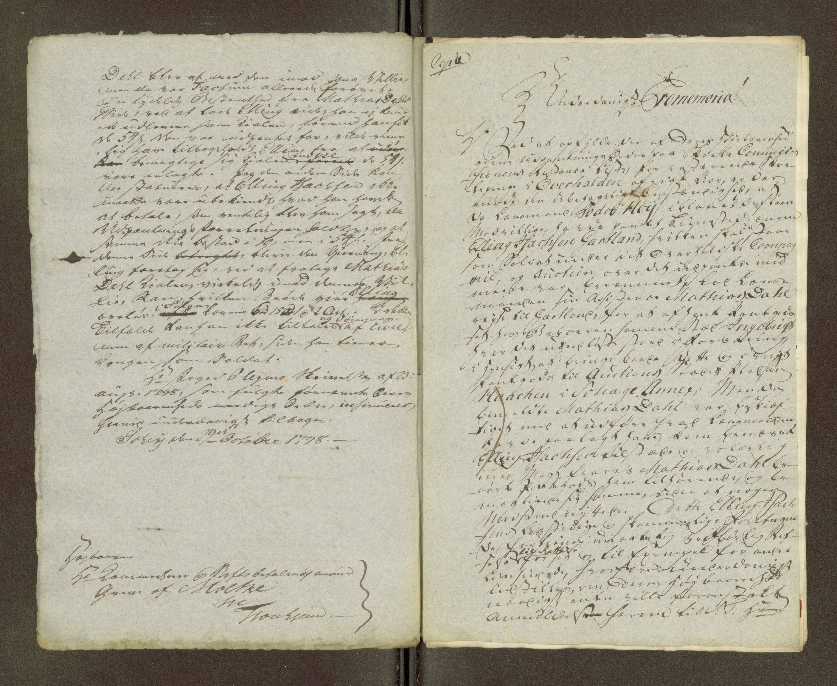 Namdal sorenskriveri, AV/SAT-A-4133/1/1/1O/1Oa/L0007: Sivile og offentlige saker, 1798, p. 409