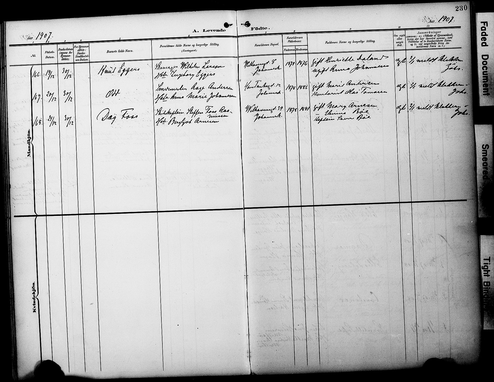 Fødselsstiftelsens sokneprestembete*, SAB/-: Parish register (official) no. A 3, 1901-1910, p. 230