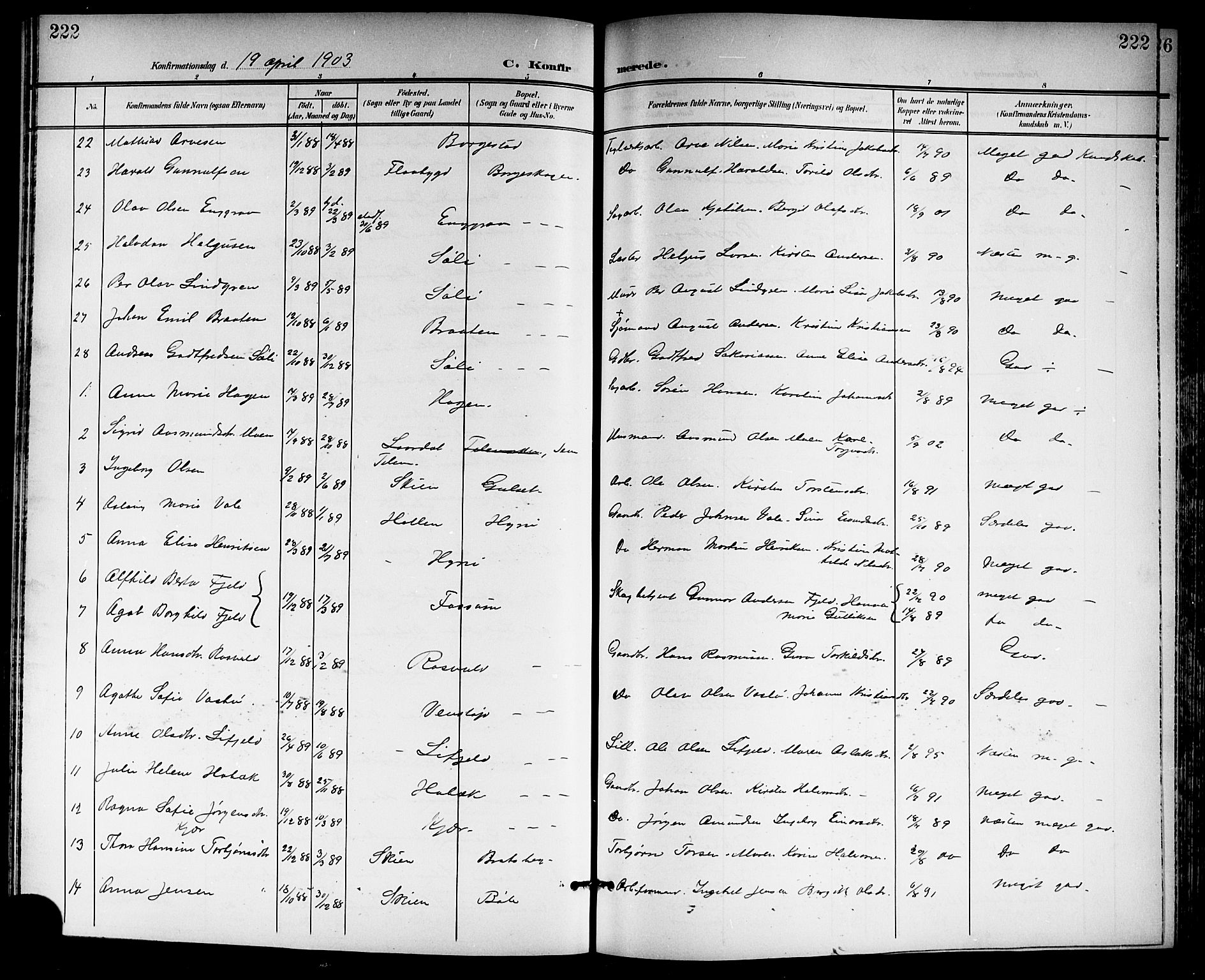 Gjerpen kirkebøker, SAKO/A-265/G/Ga/L0003: Parish register (copy) no. I 3, 1901-1919, p. 222