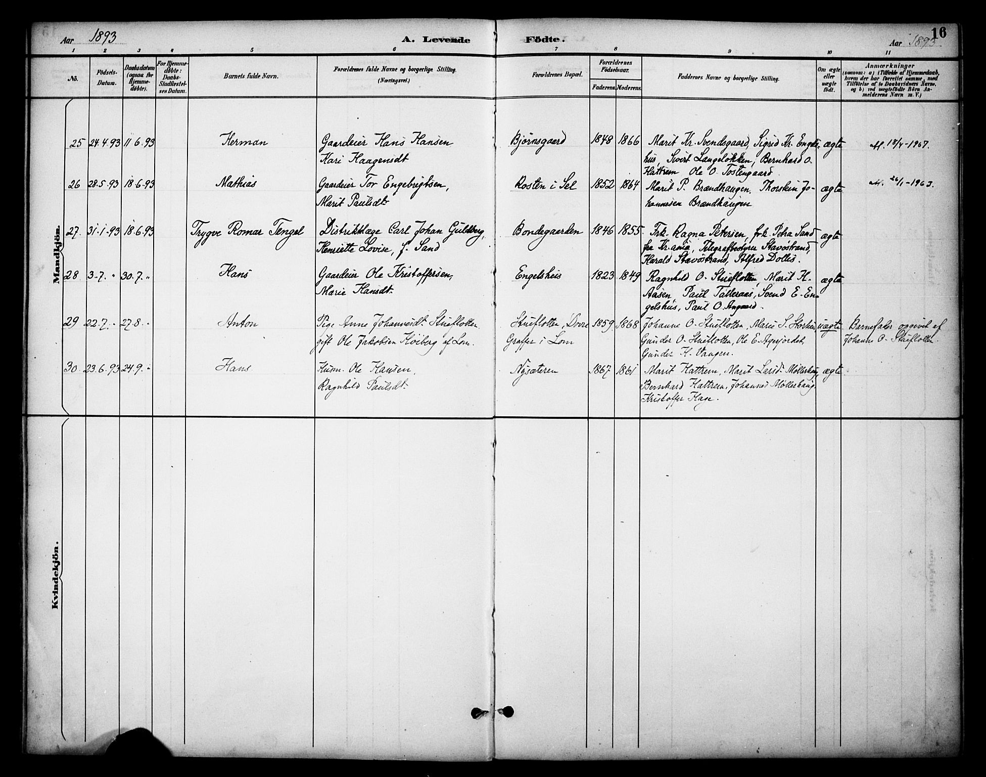 Dovre prestekontor, AV/SAH-PREST-066/H/Ha/Haa/L0003: Parish register (official) no. 3, 1891-1901, p. 16