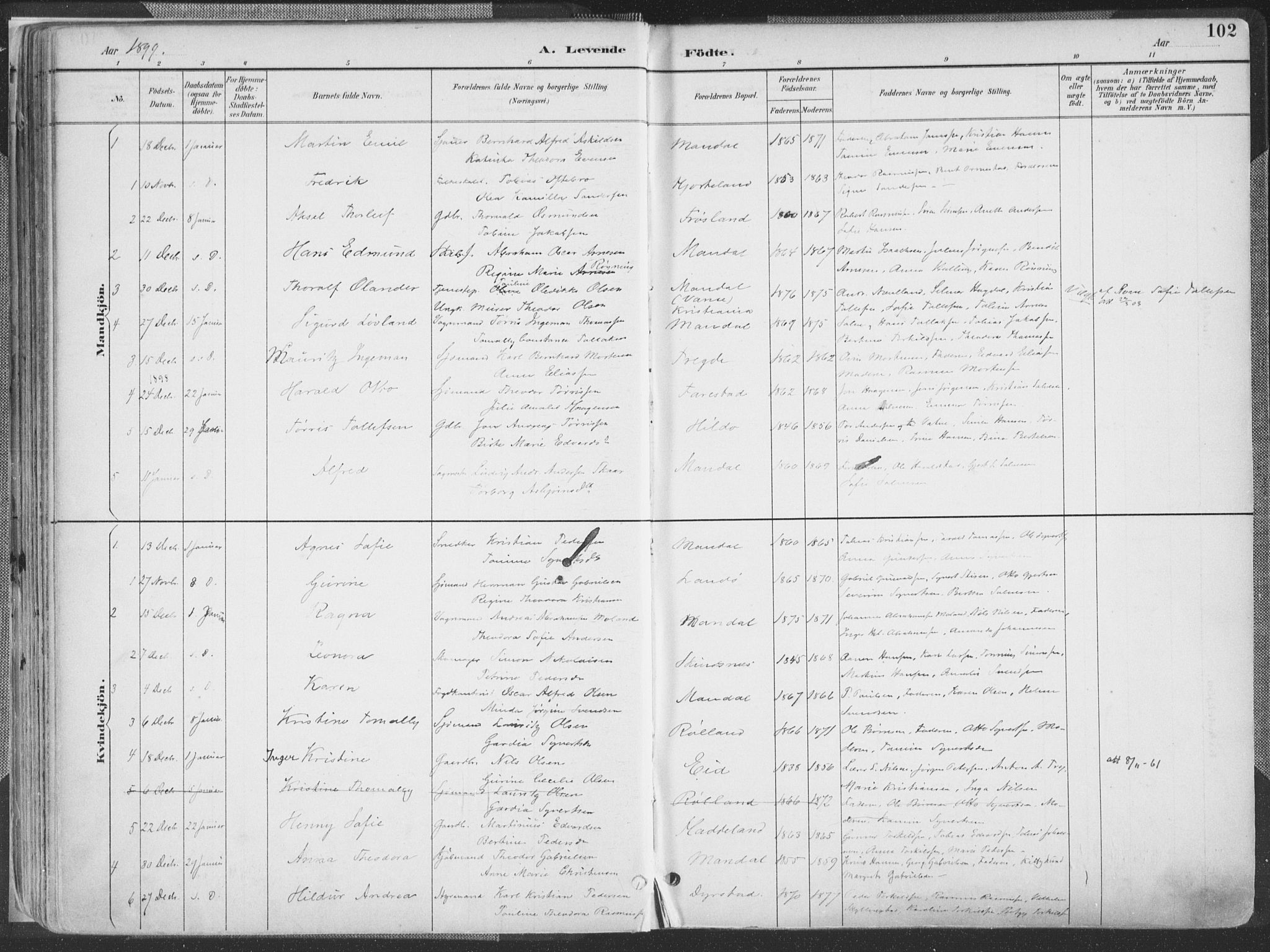Mandal sokneprestkontor, SAK/1111-0030/F/Fa/Faa/L0018: Parish register (official) no. A 18, 1890-1905, p. 102