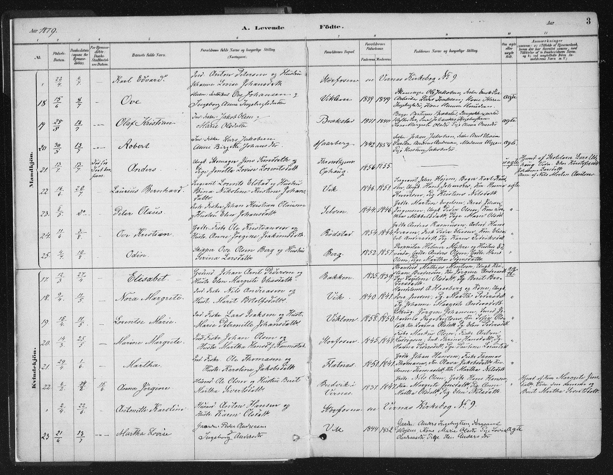 Ministerialprotokoller, klokkerbøker og fødselsregistre - Sør-Trøndelag, SAT/A-1456/659/L0739: Parish register (official) no. 659A09, 1879-1893, p. 3