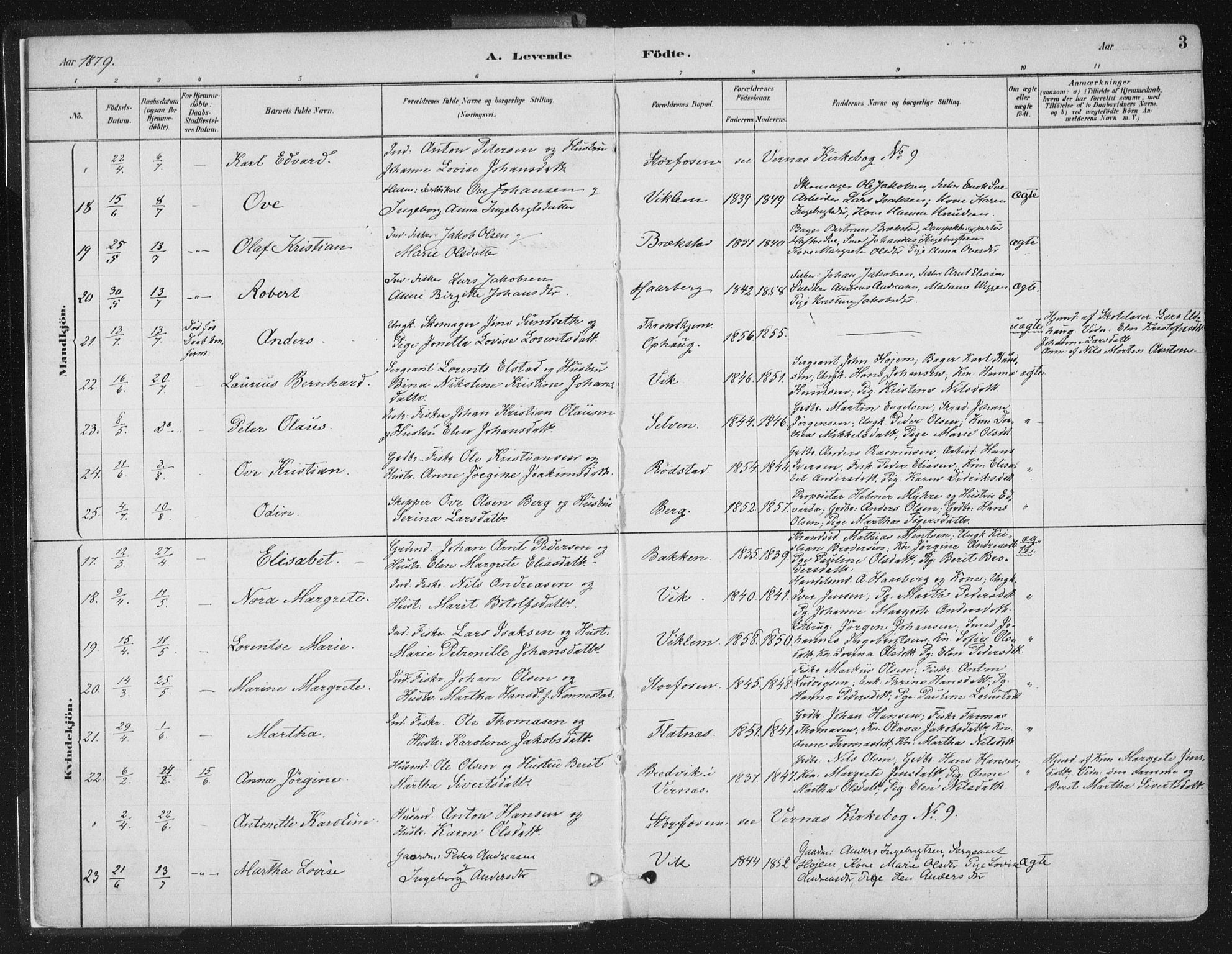 Ministerialprotokoller, klokkerbøker og fødselsregistre - Sør-Trøndelag, AV/SAT-A-1456/659/L0739: Parish register (official) no. 659A09, 1879-1893, p. 3