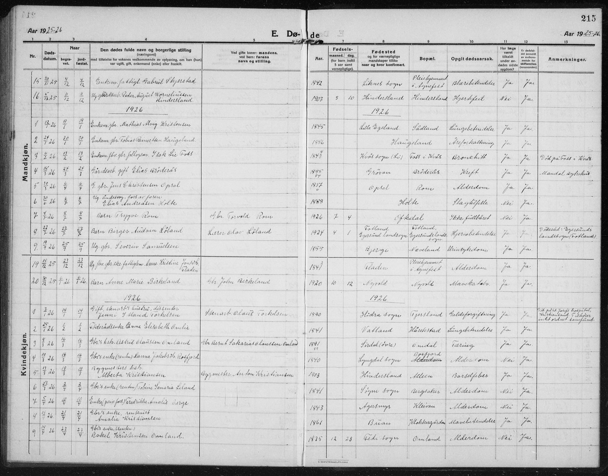 Lyngdal sokneprestkontor, AV/SAK-1111-0029/F/Fb/Fbc/L0006: Parish register (copy) no. B 6, 1914-1934, p. 215