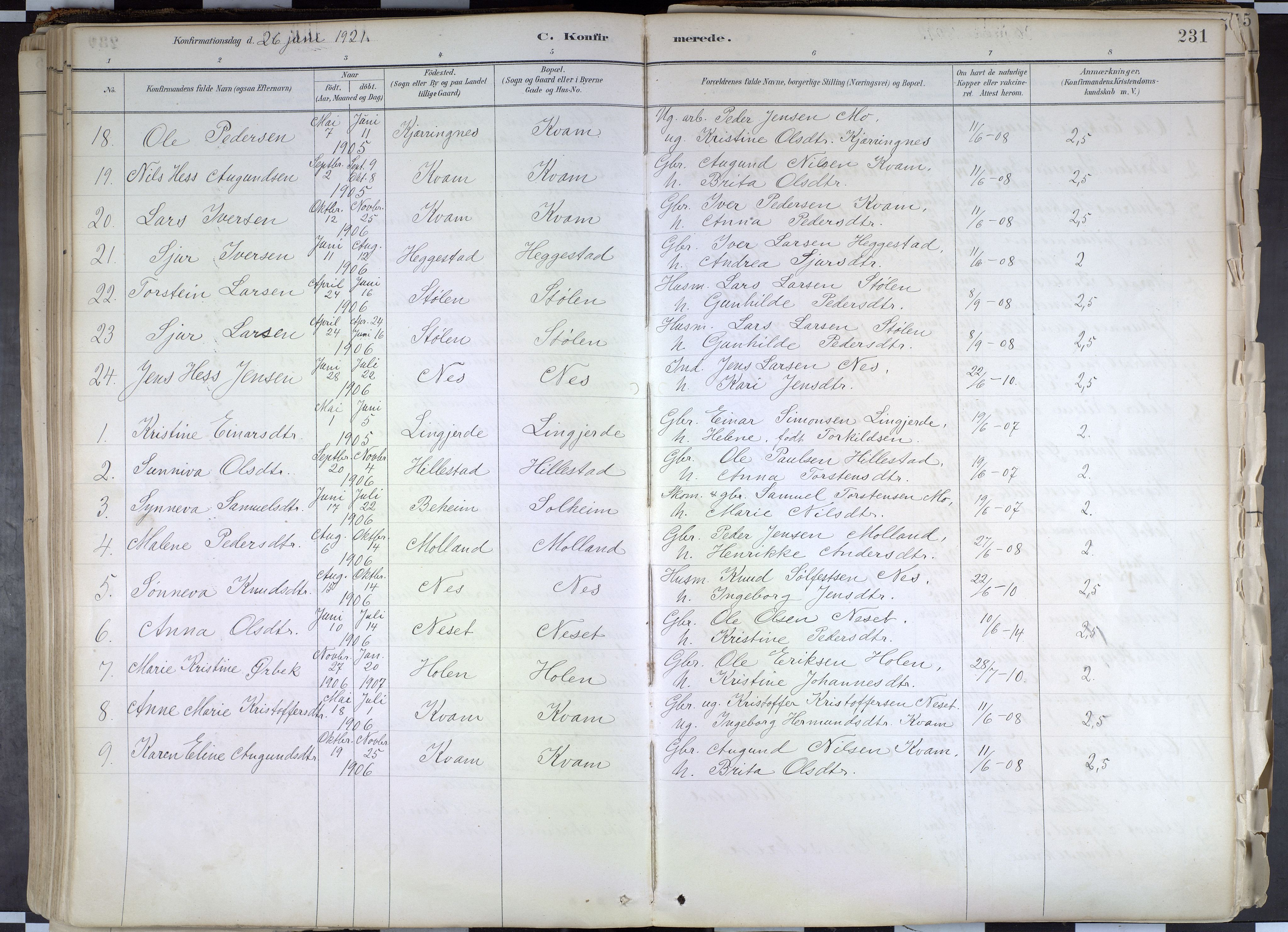 Hafslo sokneprestembete, AV/SAB-A-80301/H/Haa/Haab/L0001: Parish register (official) no. B 1, 1886-1945, p. 231