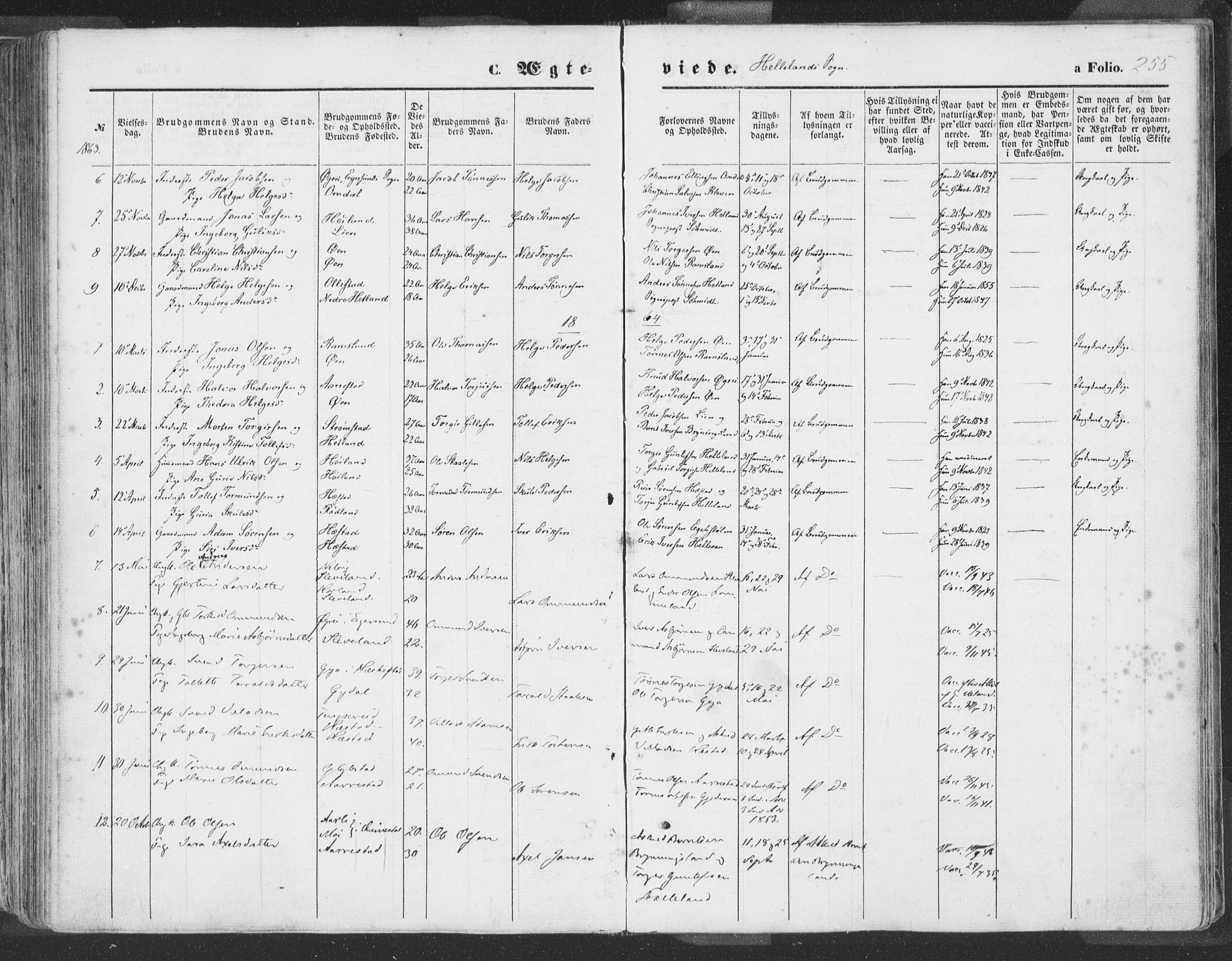 Helleland sokneprestkontor, AV/SAST-A-101810: Parish register (official) no. A 7.1, 1863-1886, p. 255