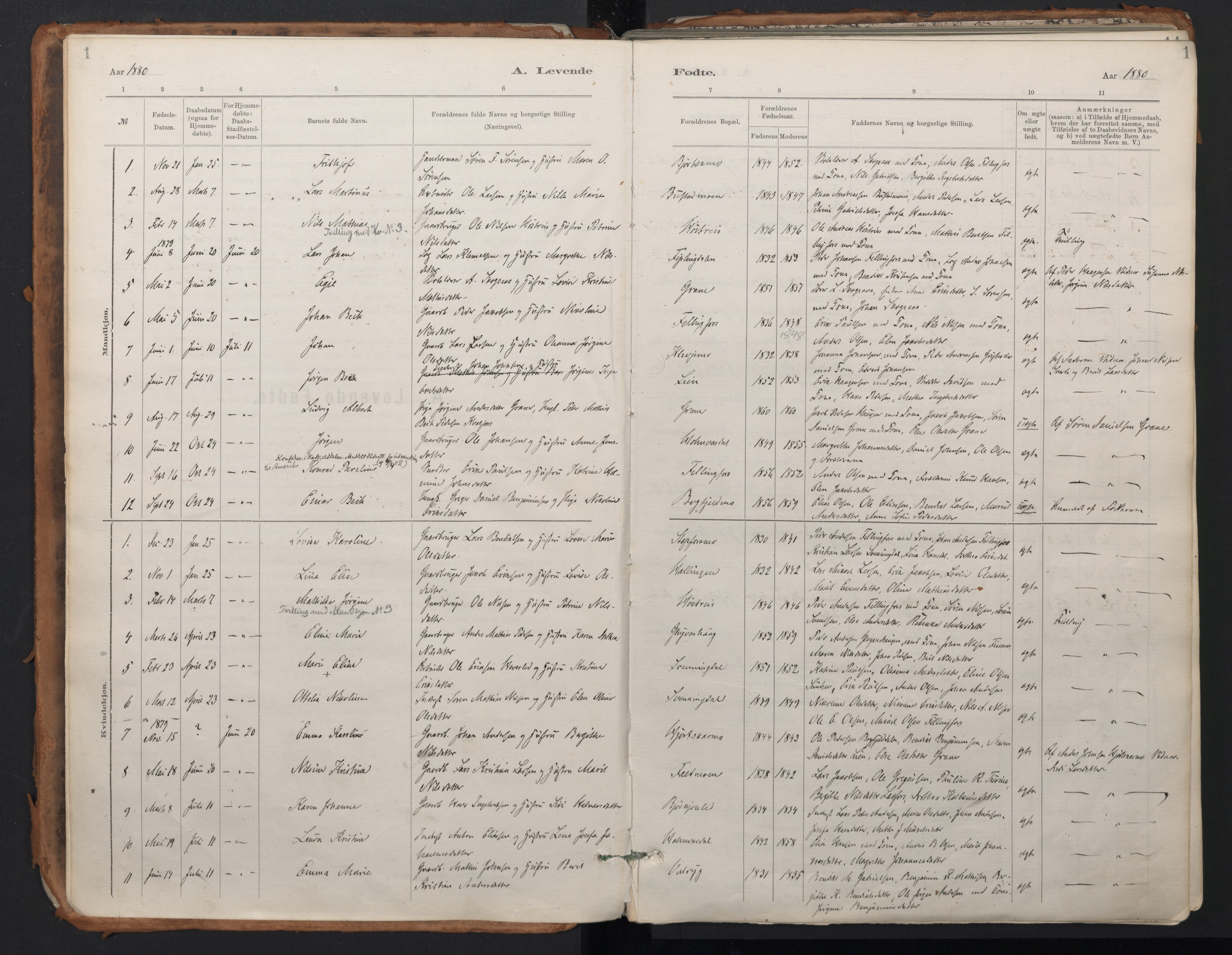 Ministerialprotokoller, klokkerbøker og fødselsregistre - Nordland, SAT/A-1459/824/L0338: Parish register (official) no. 824A01, 1880-1915, p. 1