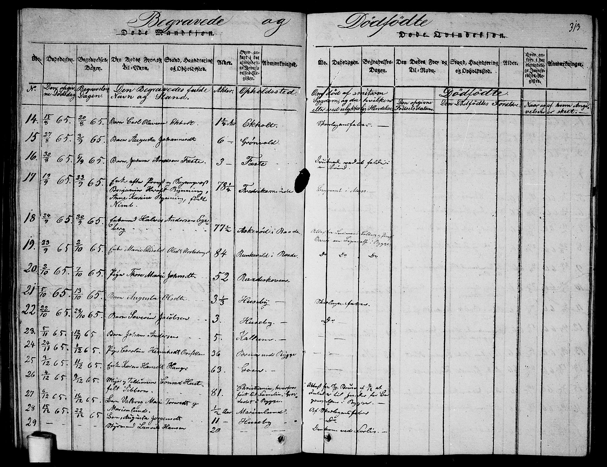 Rygge prestekontor Kirkebøker, AV/SAO-A-10084b/G/Ga/L0001: Parish register (copy) no. 1, 1814-1871, p. 312-313