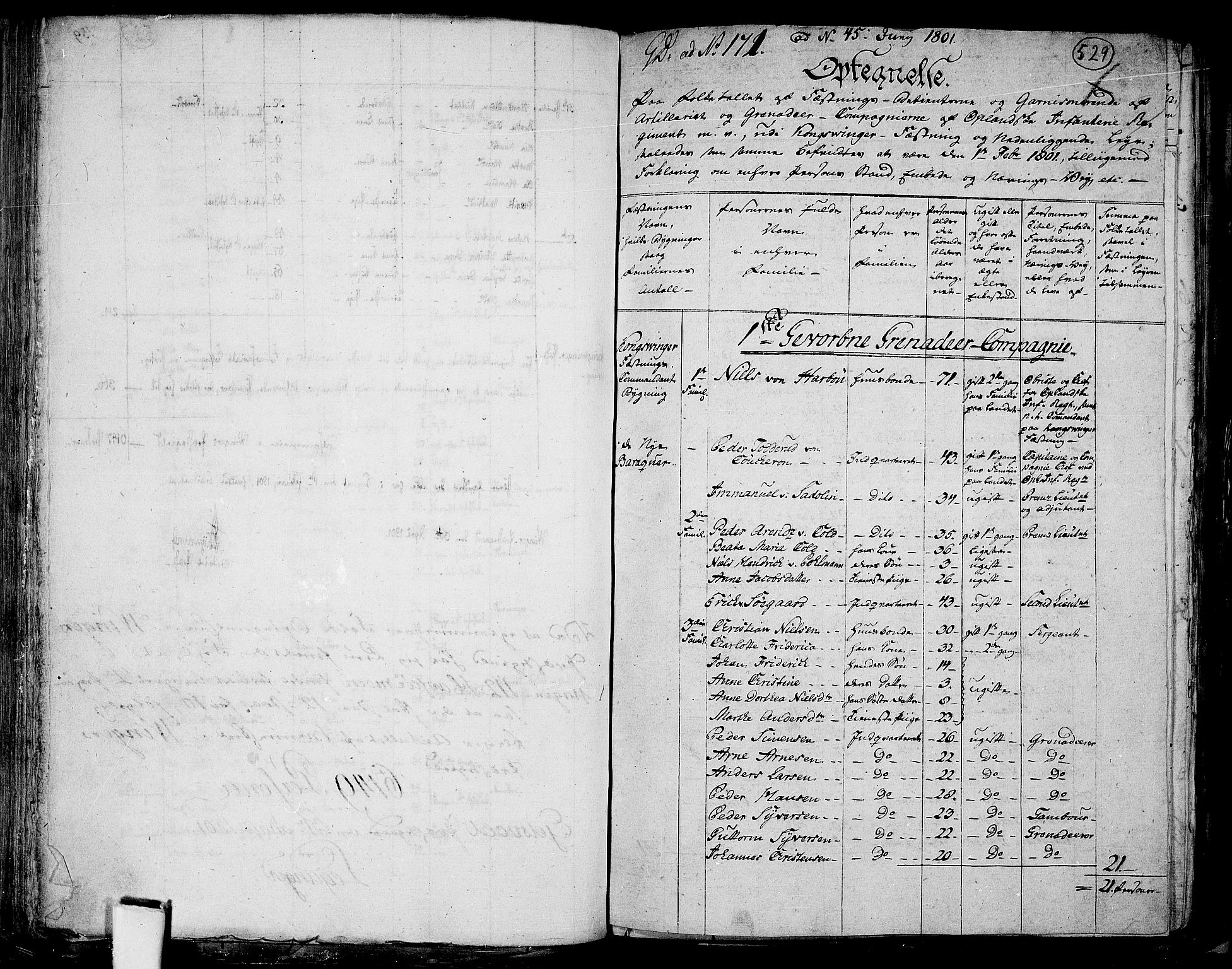 RA, 1801 census for 0421P Vinger, 1801, p. 528b-529a