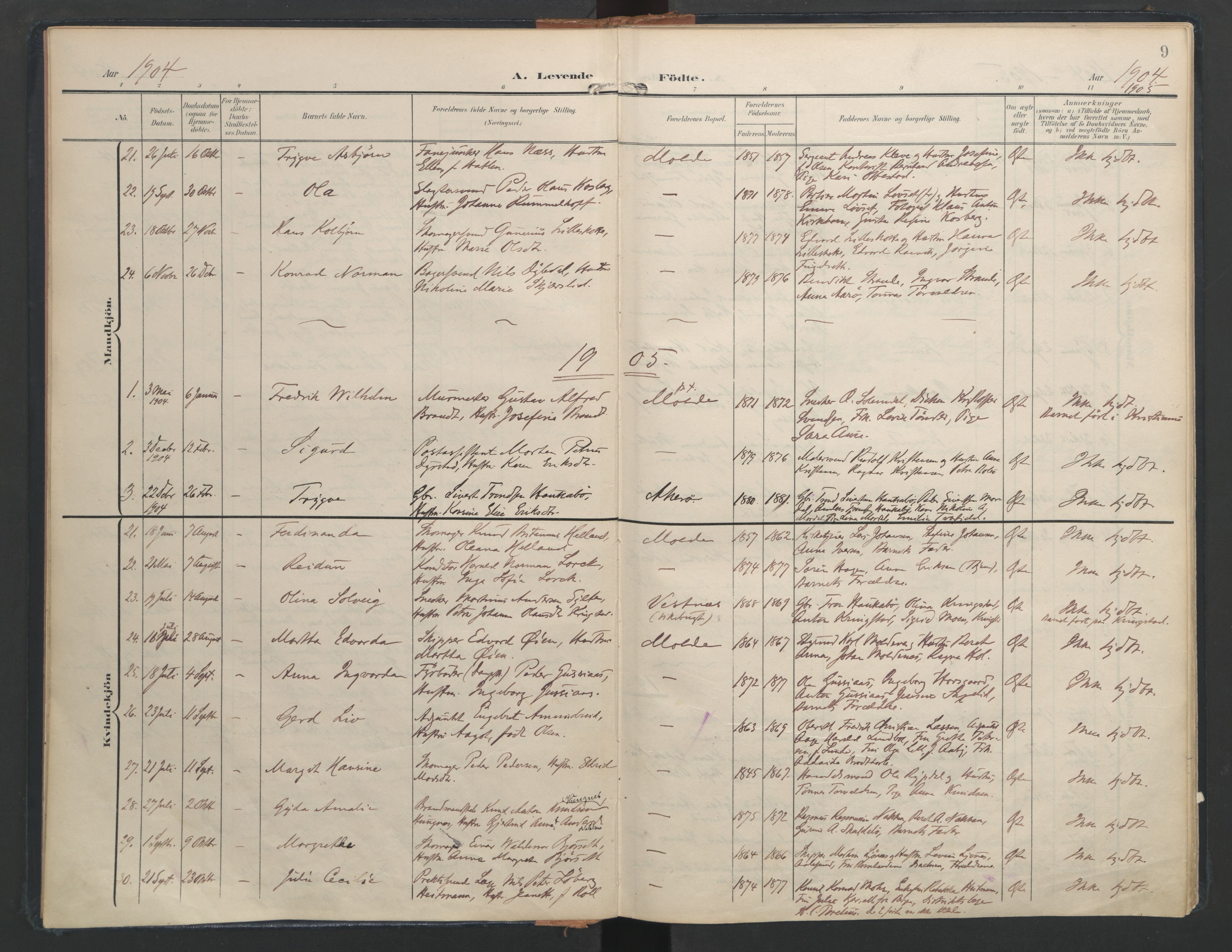 Ministerialprotokoller, klokkerbøker og fødselsregistre - Møre og Romsdal, AV/SAT-A-1454/558/L0693: Parish register (official) no. 558A07, 1903-1917, p. 9