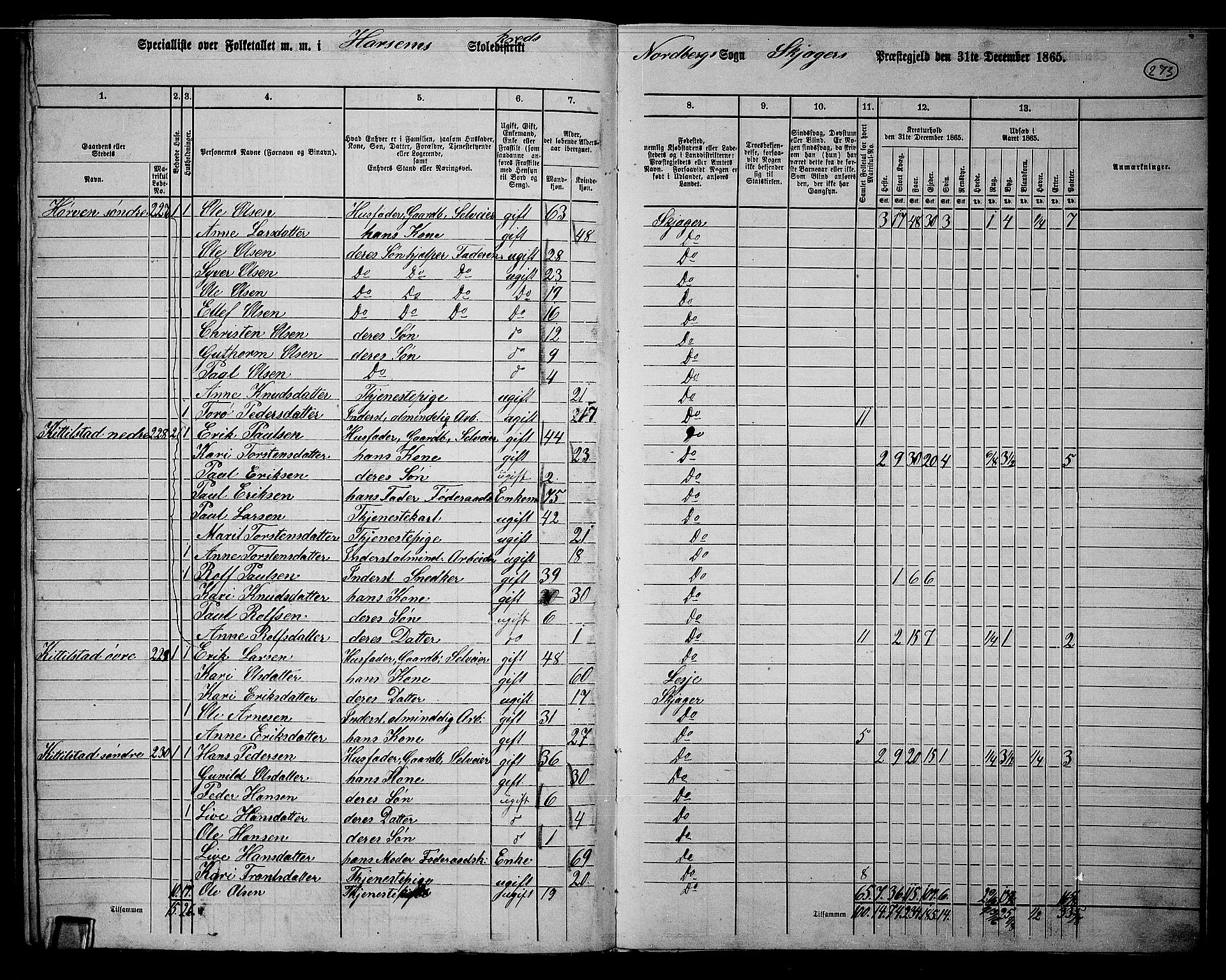 RA, 1865 census for Skjåk, 1865, p. 109