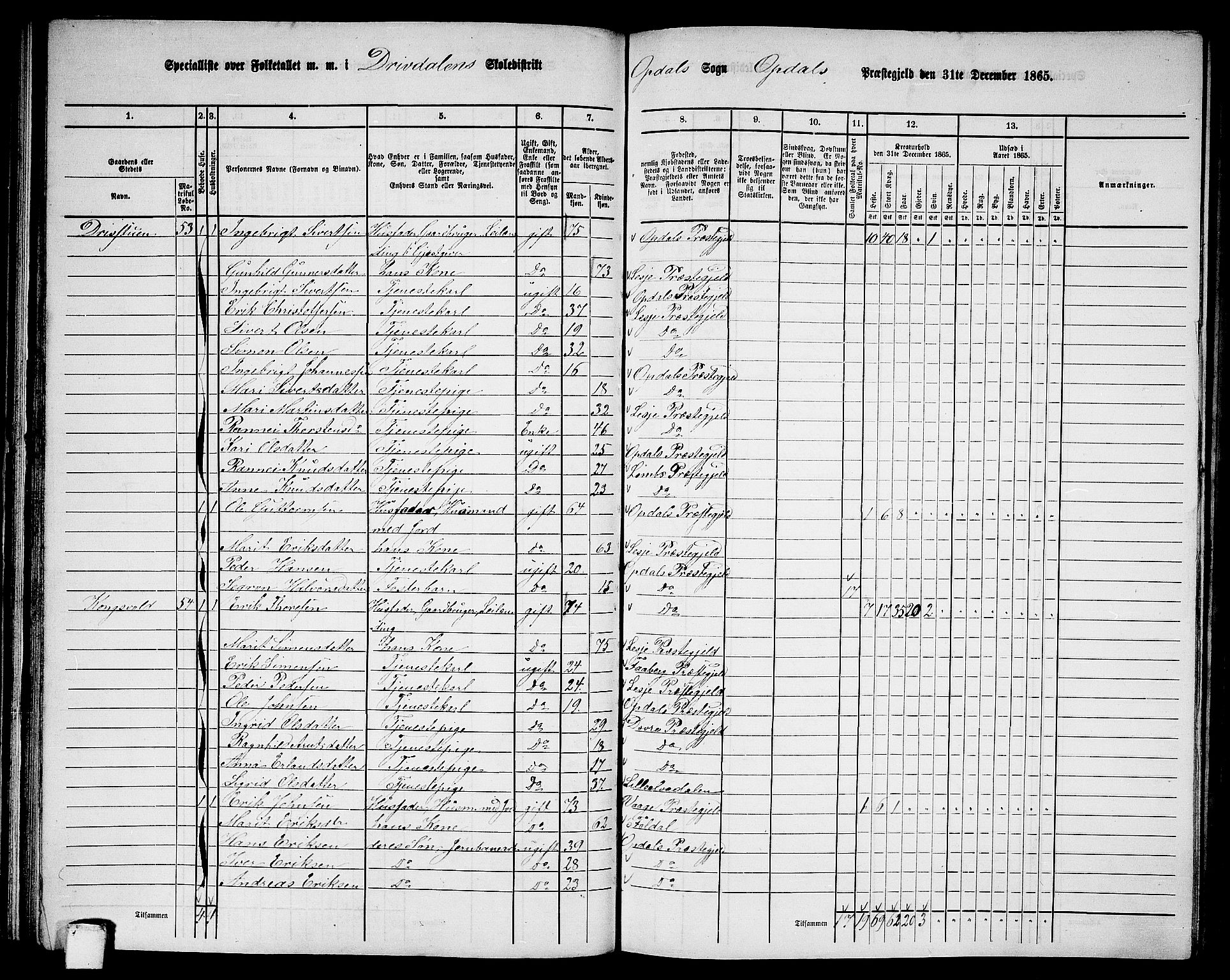 RA, 1865 census for Oppdal, 1865, p. 63