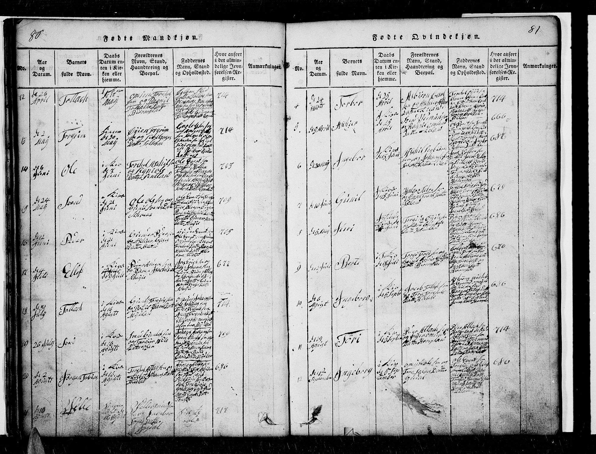 Sirdal sokneprestkontor, SAK/1111-0036/F/Fb/Fbb/L0001: Parish register (copy) no. B 1, 1815-1834, p. 80-81