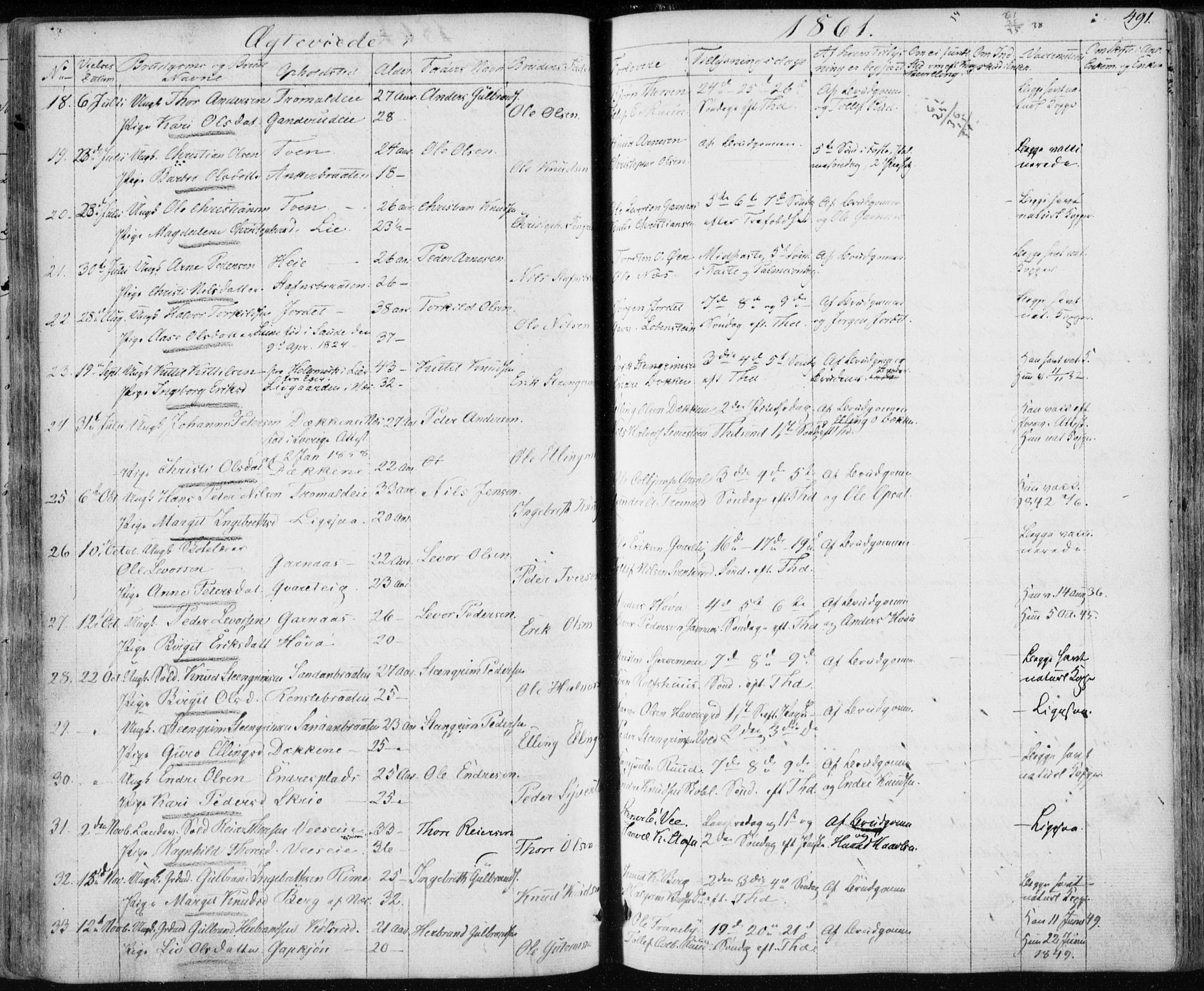 Nes kirkebøker, AV/SAKO-A-236/F/Fa/L0009: Parish register (official) no. 9, 1834-1863, p. 491