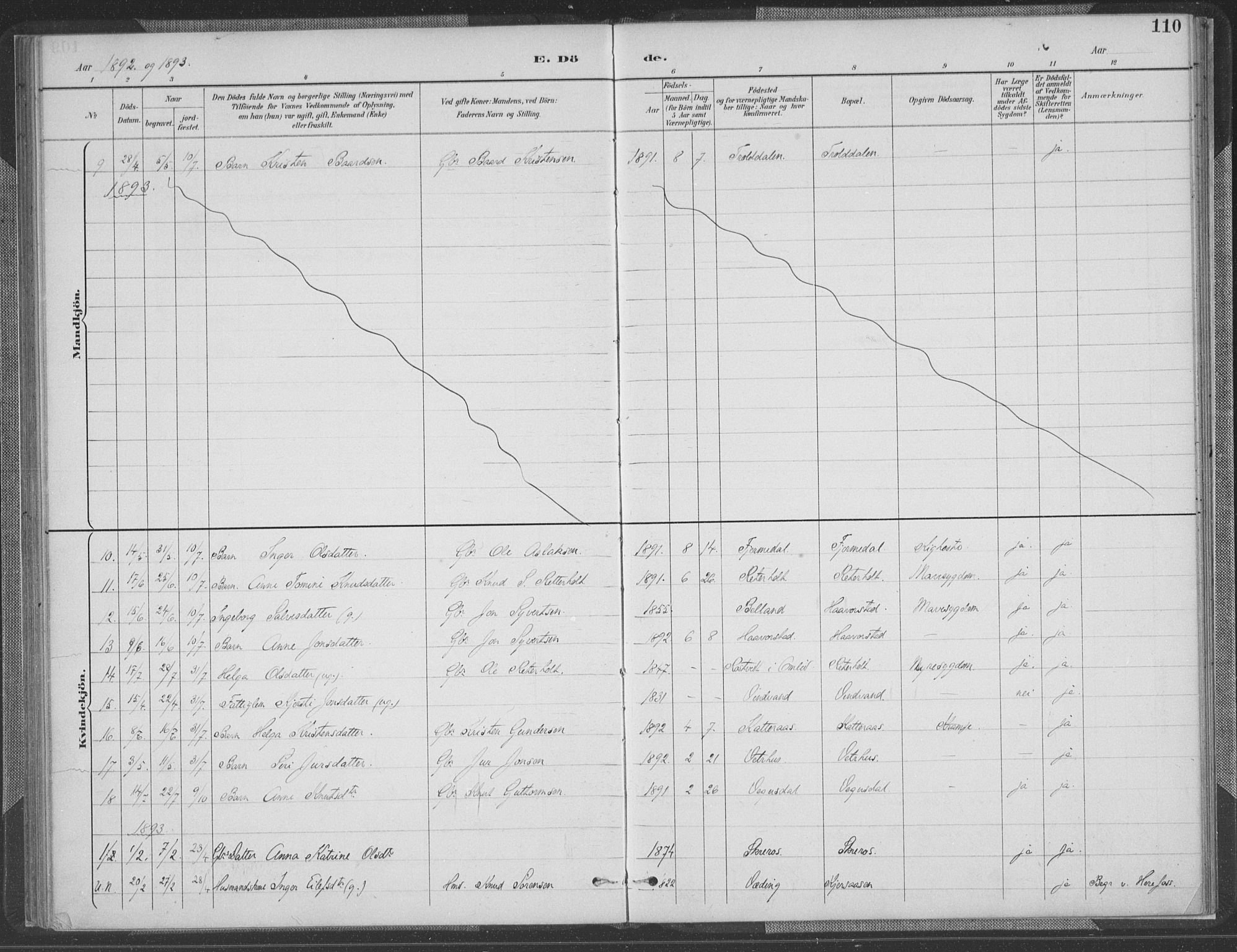 Herefoss sokneprestkontor, AV/SAK-1111-0019/F/Fa/Fab/L0004: Parish register (official) no. A 4, 1887-1909, p. 110