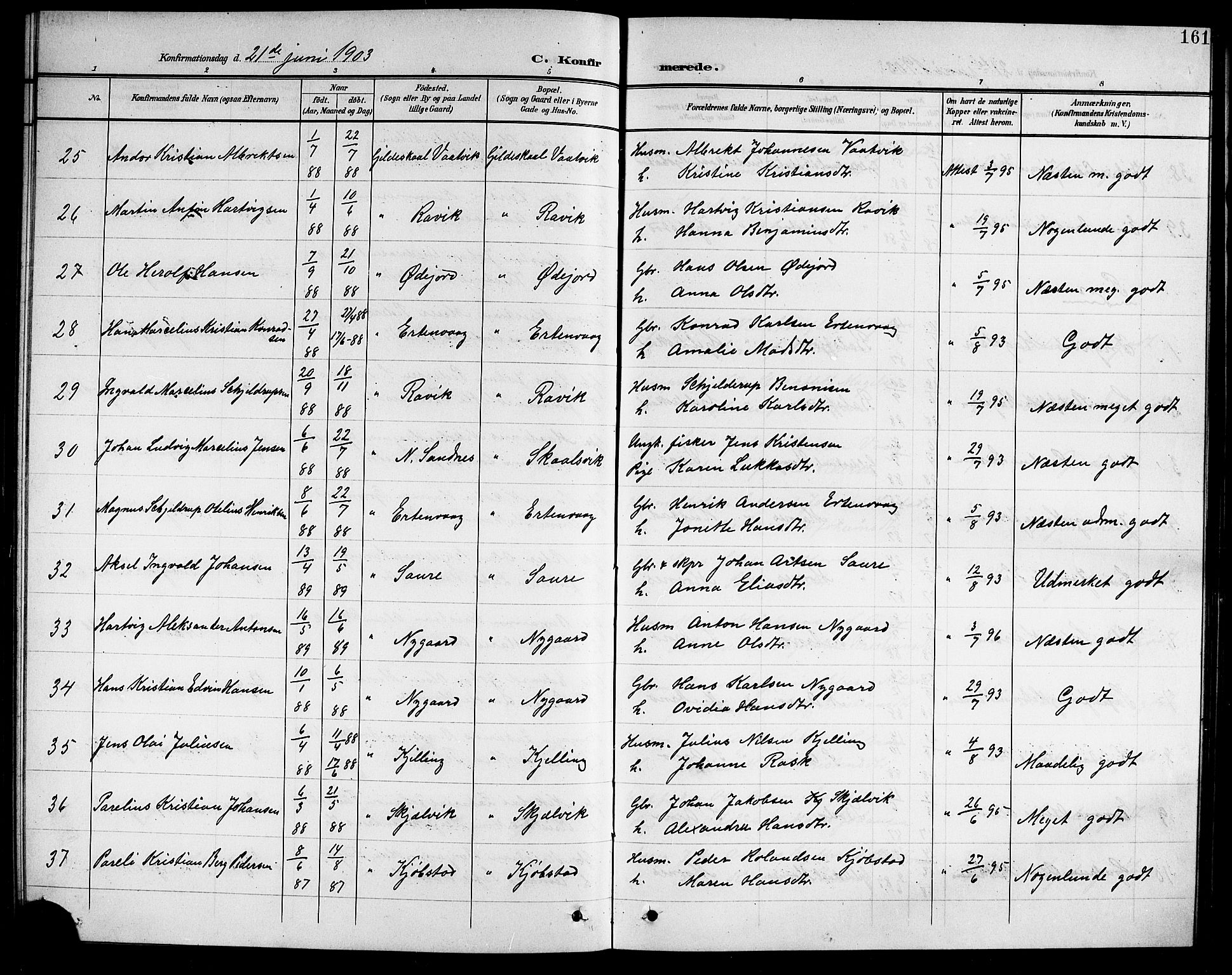 Ministerialprotokoller, klokkerbøker og fødselsregistre - Nordland, AV/SAT-A-1459/805/L0109: Parish register (copy) no. 805C05, 1900-1911, p. 161