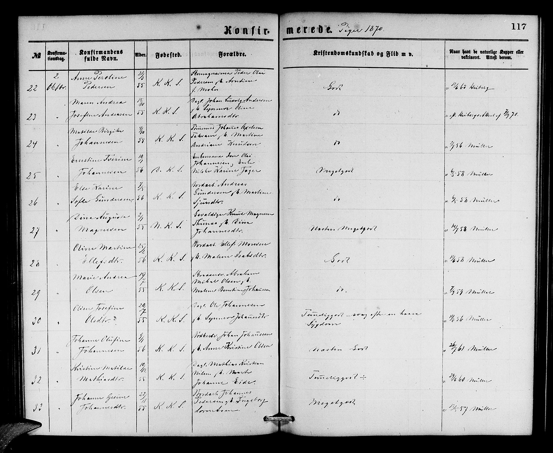 Korskirken sokneprestembete, AV/SAB-A-76101/H/Hab: Parish register (copy) no. C 2, 1869-1879, p. 117