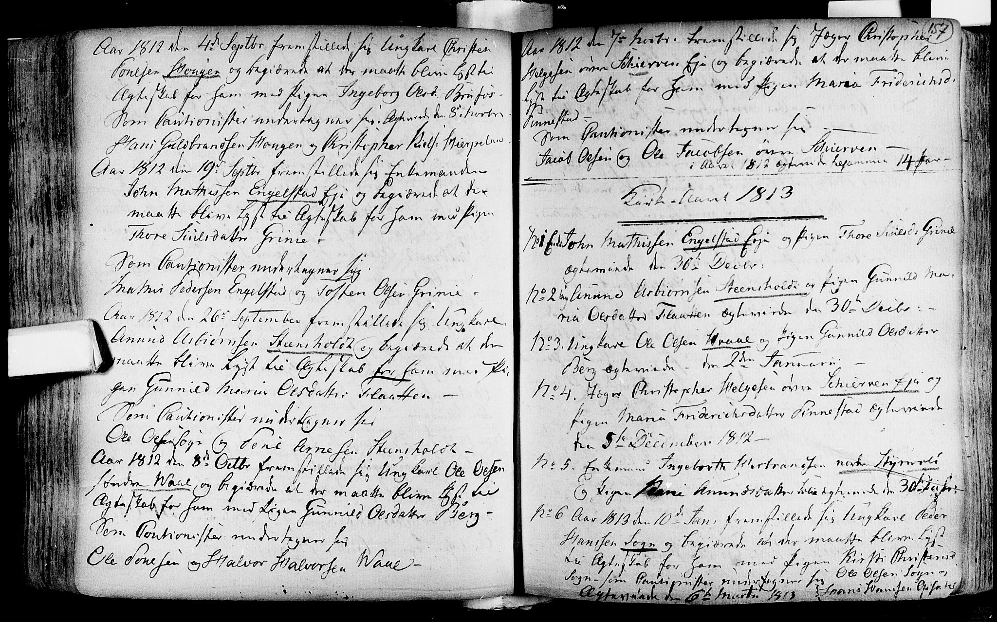 Lardal kirkebøker, SAKO/A-350/F/Fa/L0004: Parish register (official) no. i 4, 1733-1815, p. 157