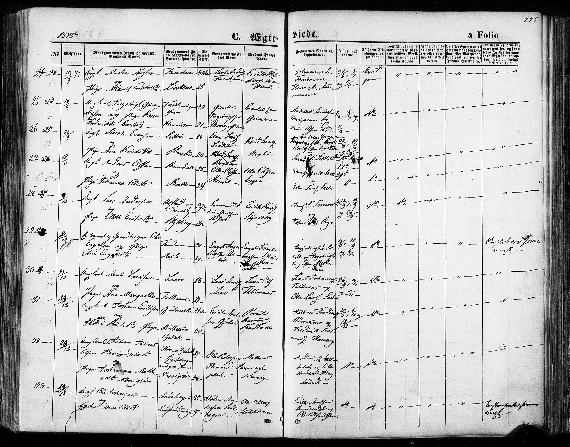 Ministerialprotokoller, klokkerbøker og fødselsregistre - Sør-Trøndelag, SAT/A-1456/668/L0807: Parish register (official) no. 668A07, 1870-1880, p. 295
