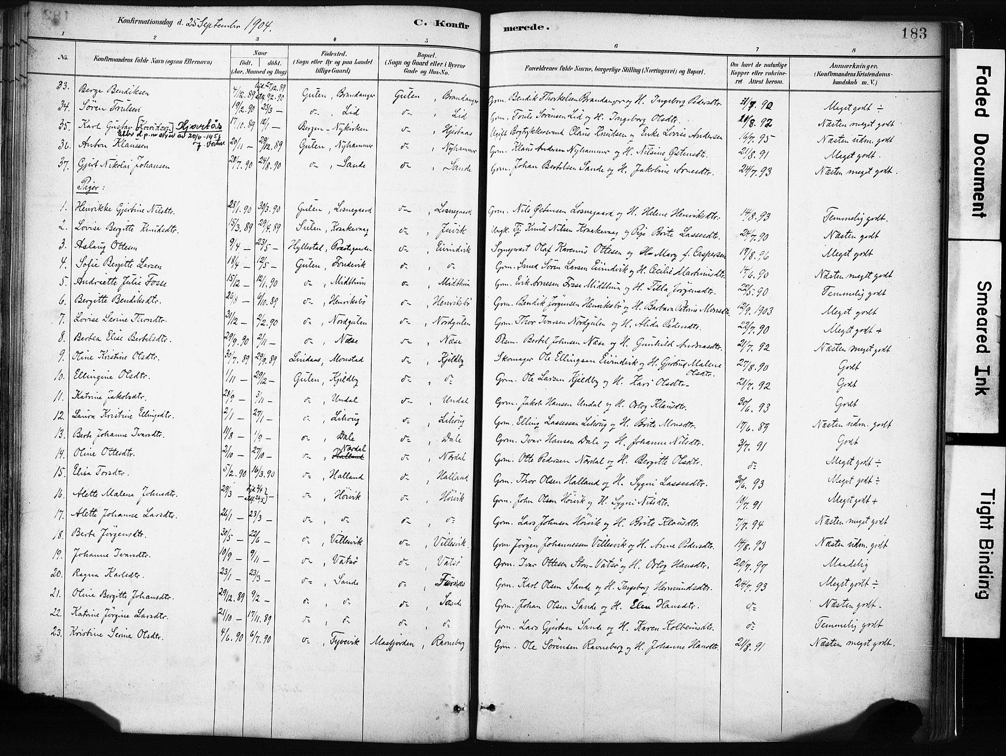 Gulen sokneprestembete, SAB/A-80201/H/Haa/Haab/L0001: Parish register (official) no. B 1, 1881-1905, p. 183