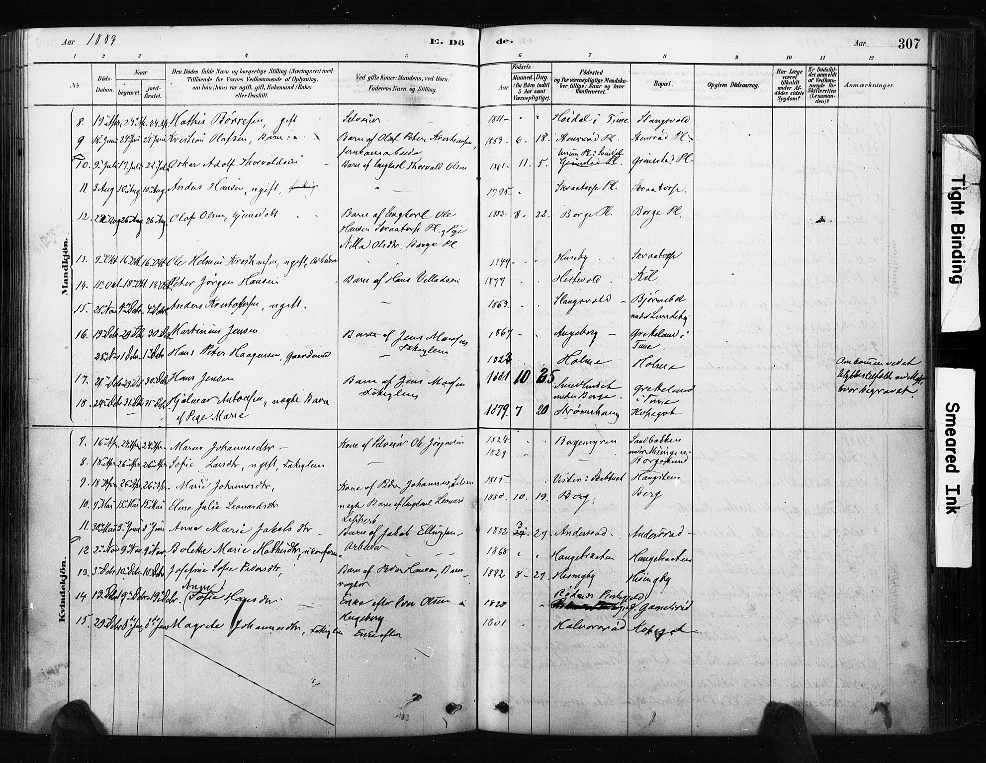 Råde prestekontor kirkebøker, AV/SAO-A-2009/F/Fa/L0007: Parish register (official) no. 7, 1878-1902, p. 307