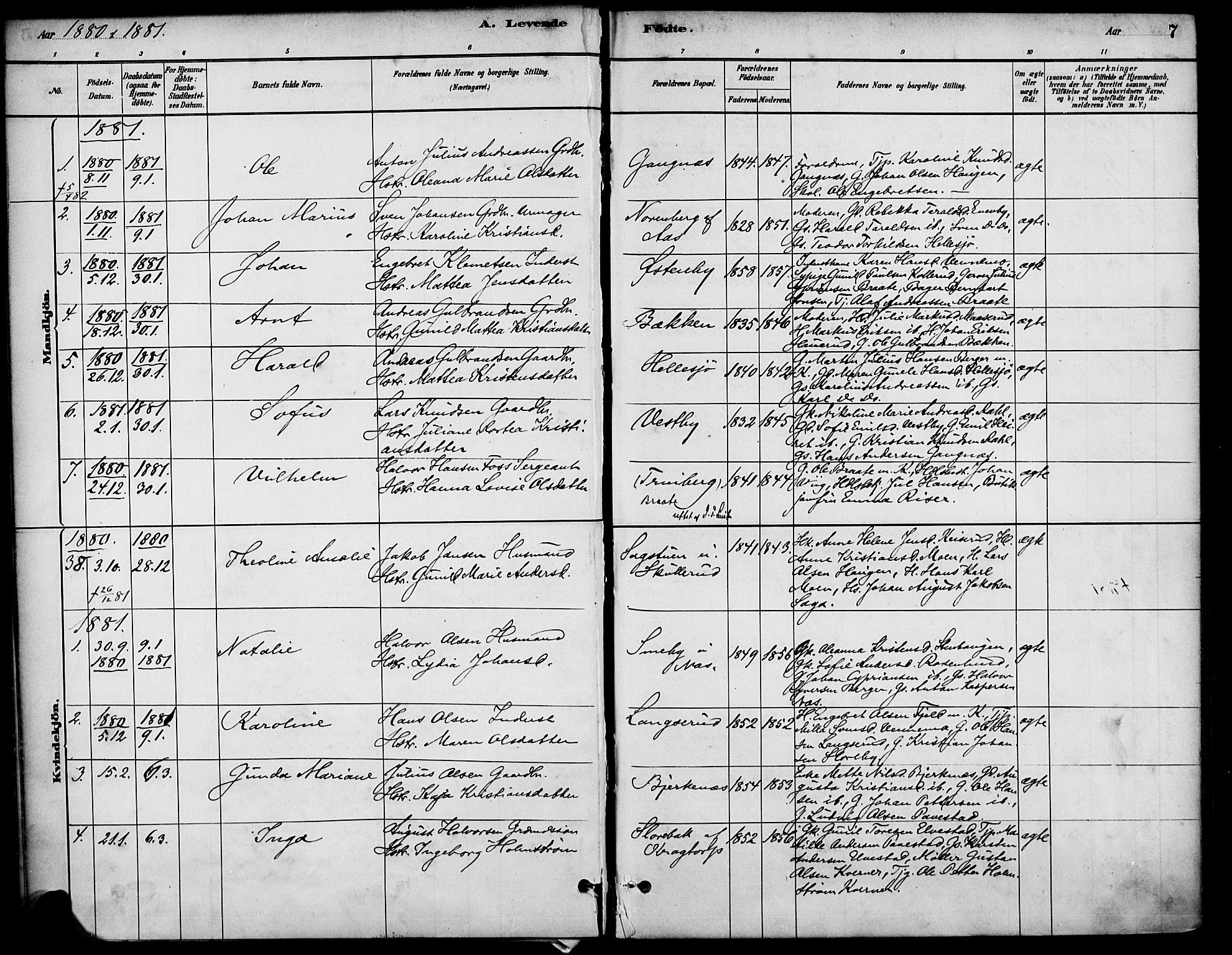 Høland prestekontor Kirkebøker, SAO/A-10346a/F/Fb/L0001: Parish register (official) no. II 1, 1880-1897, p. 7