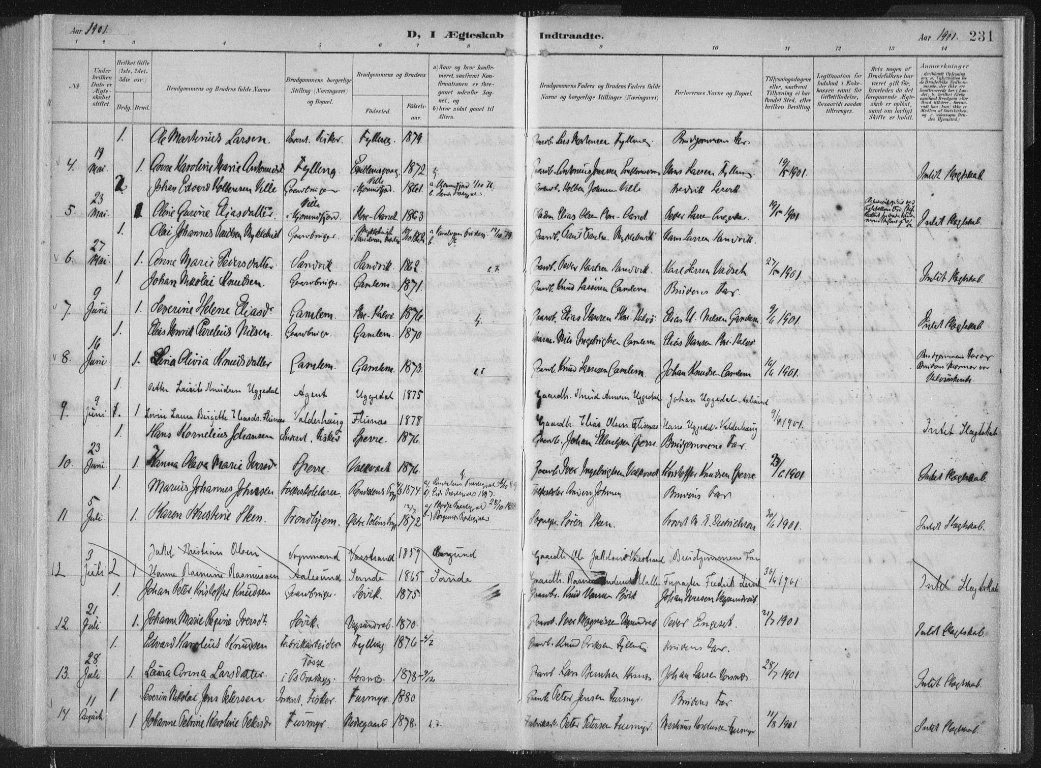 Ministerialprotokoller, klokkerbøker og fødselsregistre - Møre og Romsdal, AV/SAT-A-1454/528/L0405: Parish register (official) no. 528A14, 1891-1906, p. 231