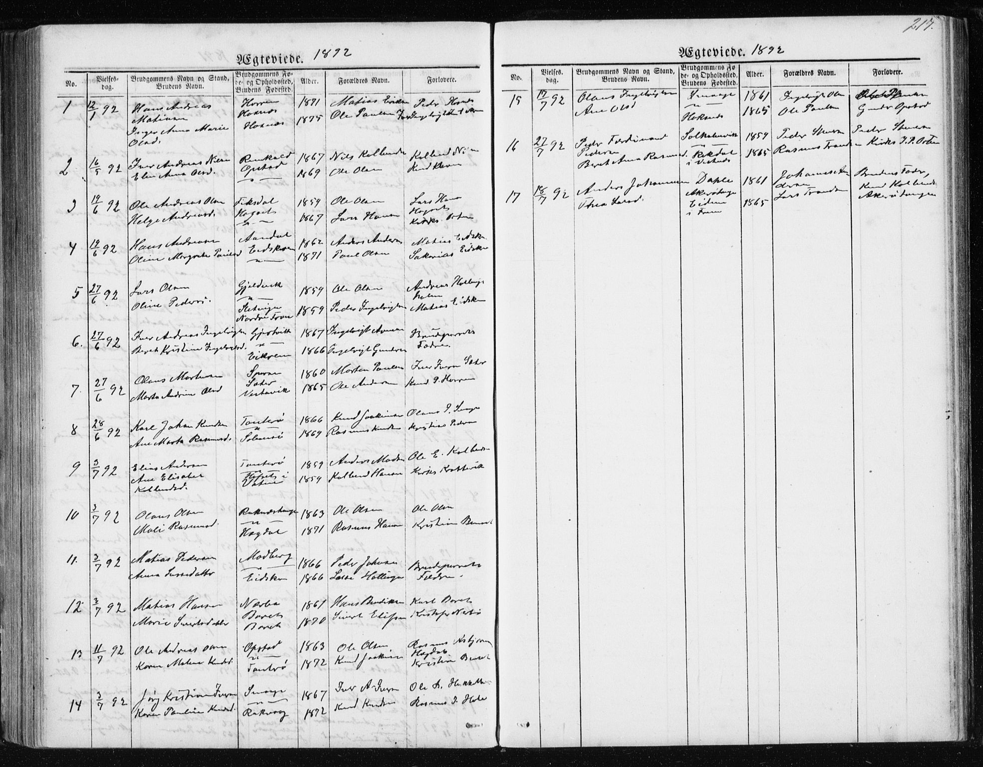 Ministerialprotokoller, klokkerbøker og fødselsregistre - Møre og Romsdal, AV/SAT-A-1454/560/L0724: Parish register (copy) no. 560C01, 1867-1892, p. 217