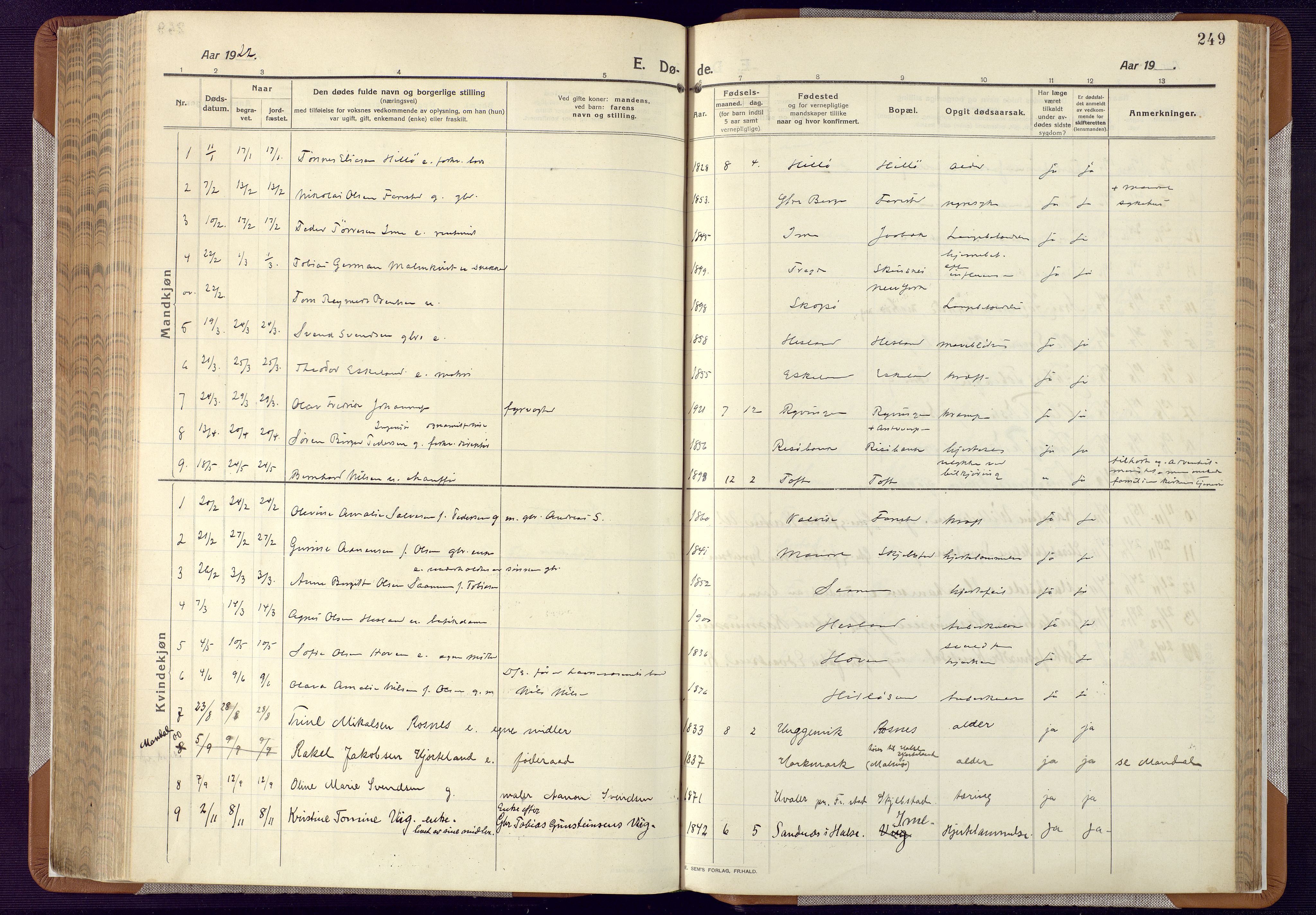 Mandal sokneprestkontor, AV/SAK-1111-0030/F/Fa/Faa/L0022: Parish register (official) no. A 22, 1913-1925, p. 249