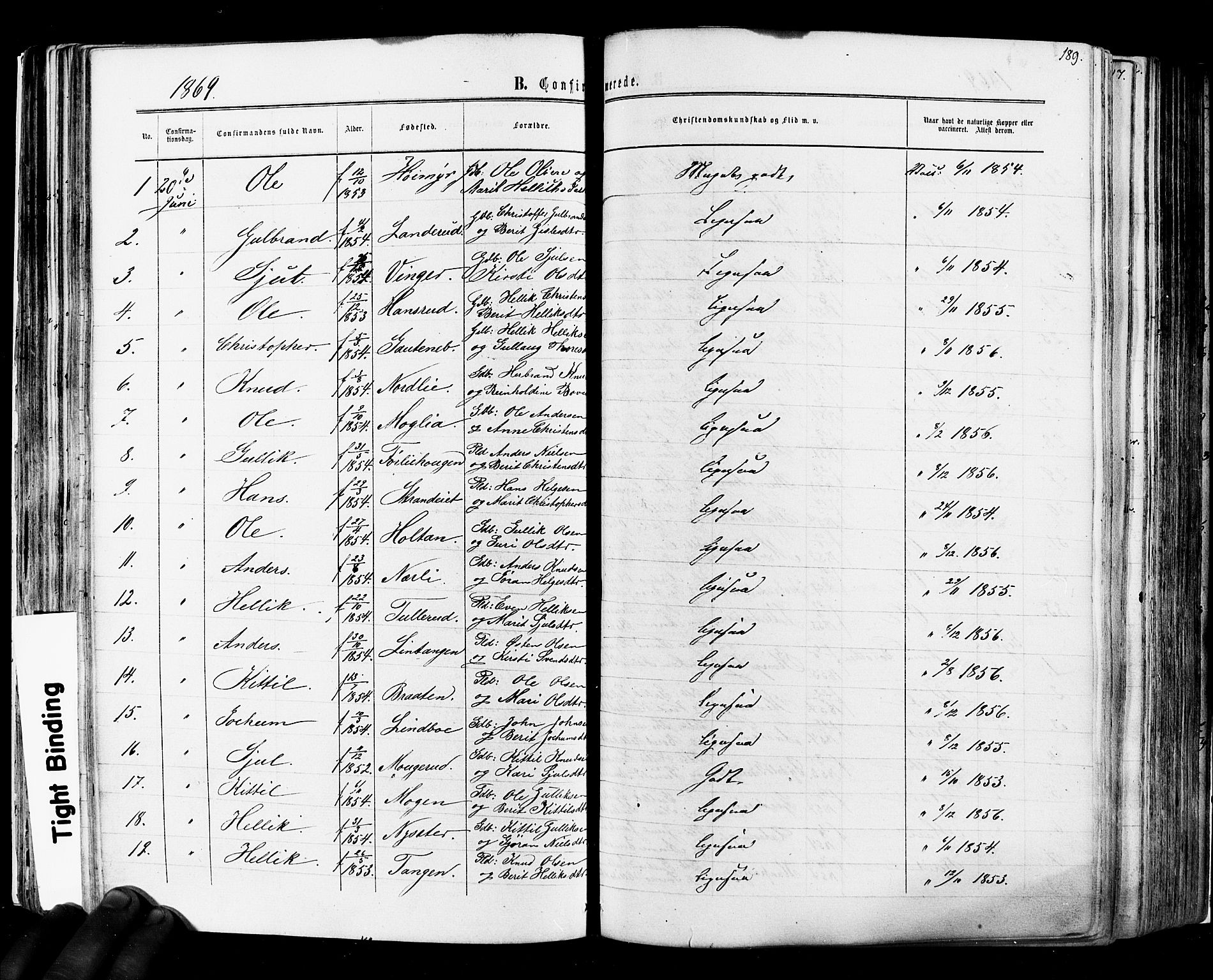 Flesberg kirkebøker, SAKO/A-18/F/Fa/L0007: Parish register (official) no. I 7, 1861-1878, p. 189