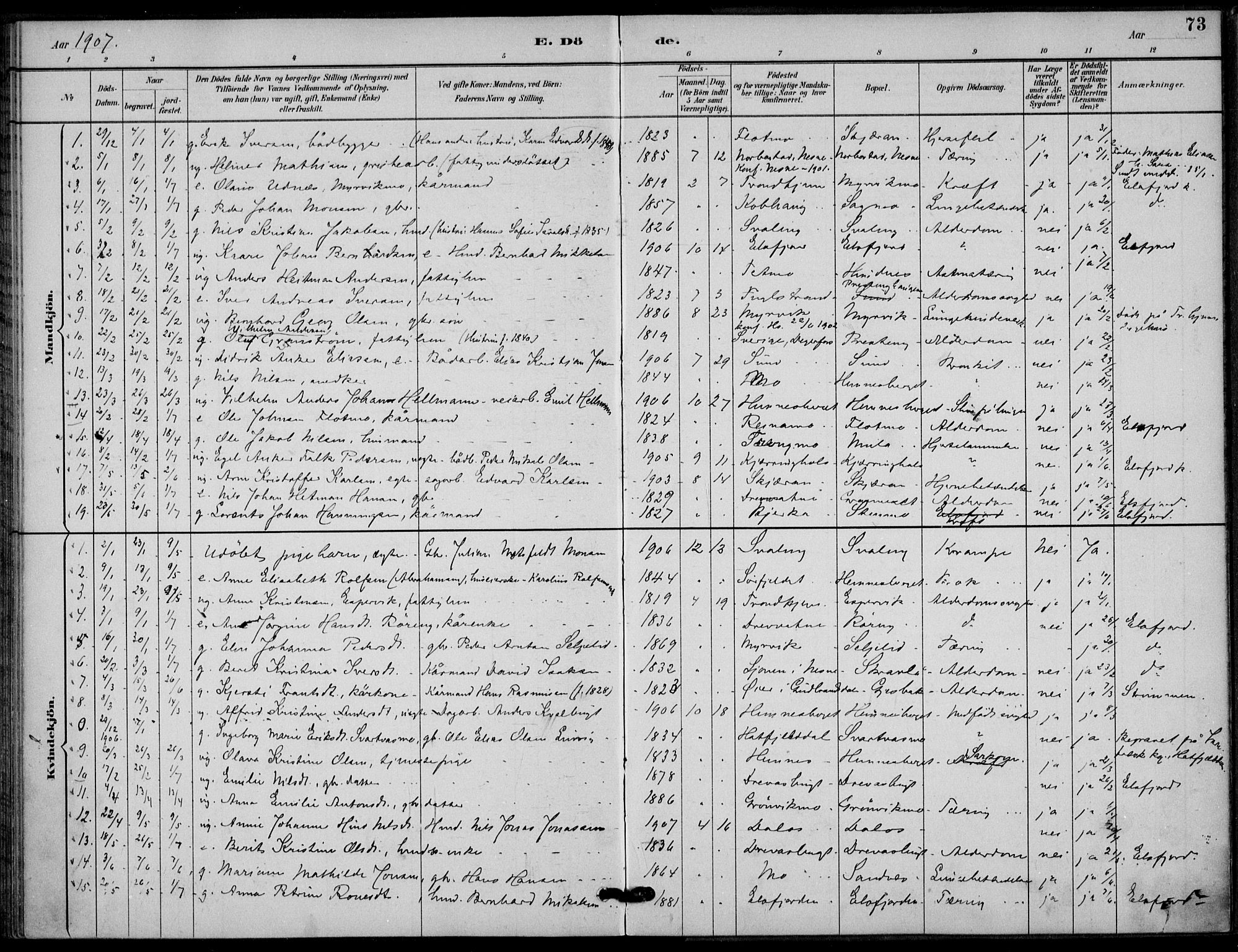 Ministerialprotokoller, klokkerbøker og fødselsregistre - Nordland, AV/SAT-A-1459/825/L0363: Parish register (official) no. 825A17, 1890-1909, p. 73