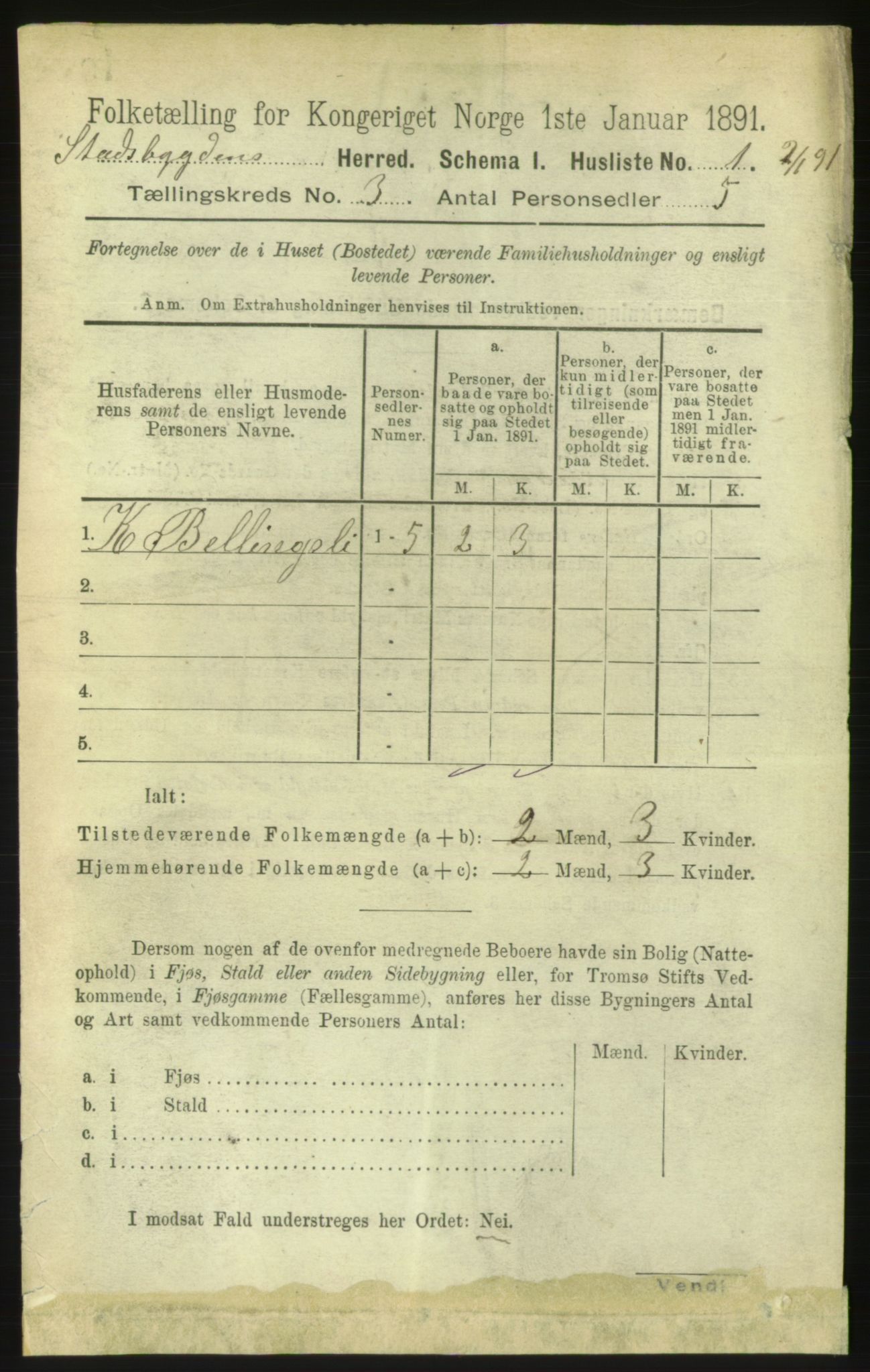 RA, 1891 census for 1625 Stadsbygd, 1891, p. 1302