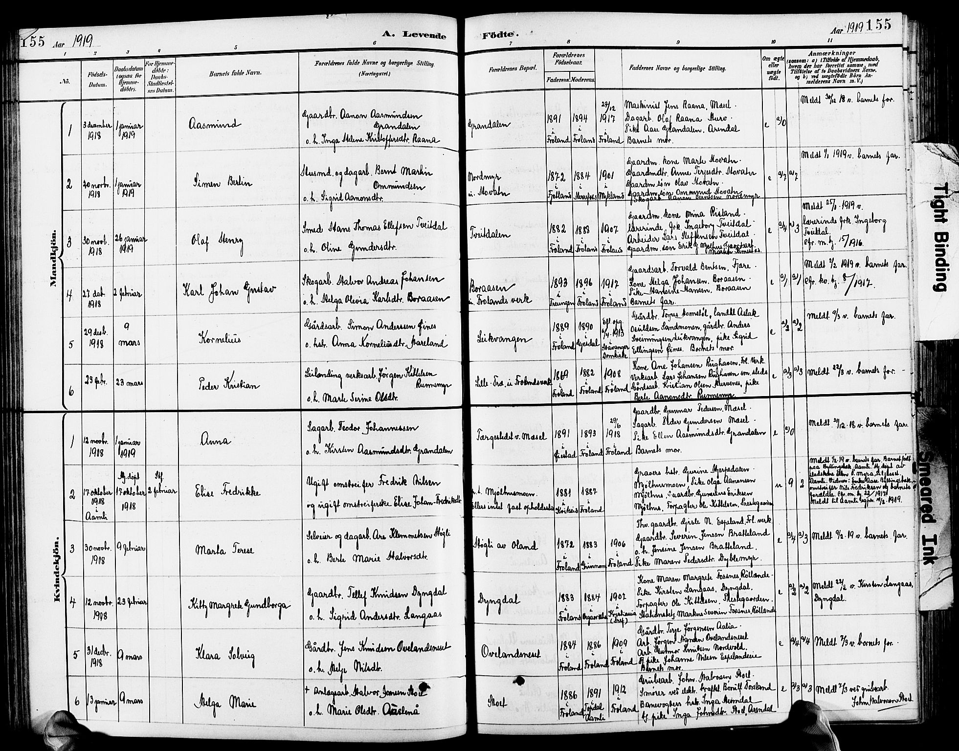 Froland sokneprestkontor, SAK/1111-0013/F/Fb/L0010: Parish register (copy) no. B 10, 1893-1920, p. 155